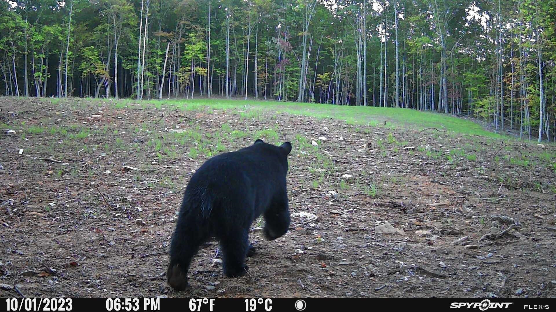 1590 Mill House Road Woolwine VA 24185