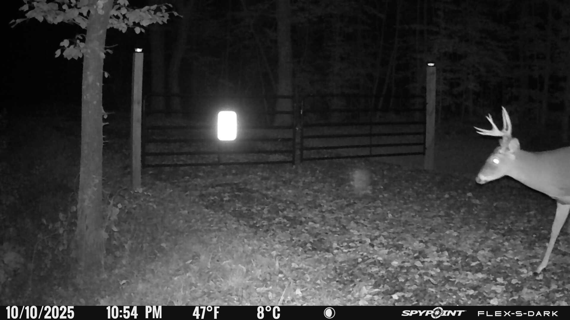 1590 Mill House Road Woolwine VA 24185