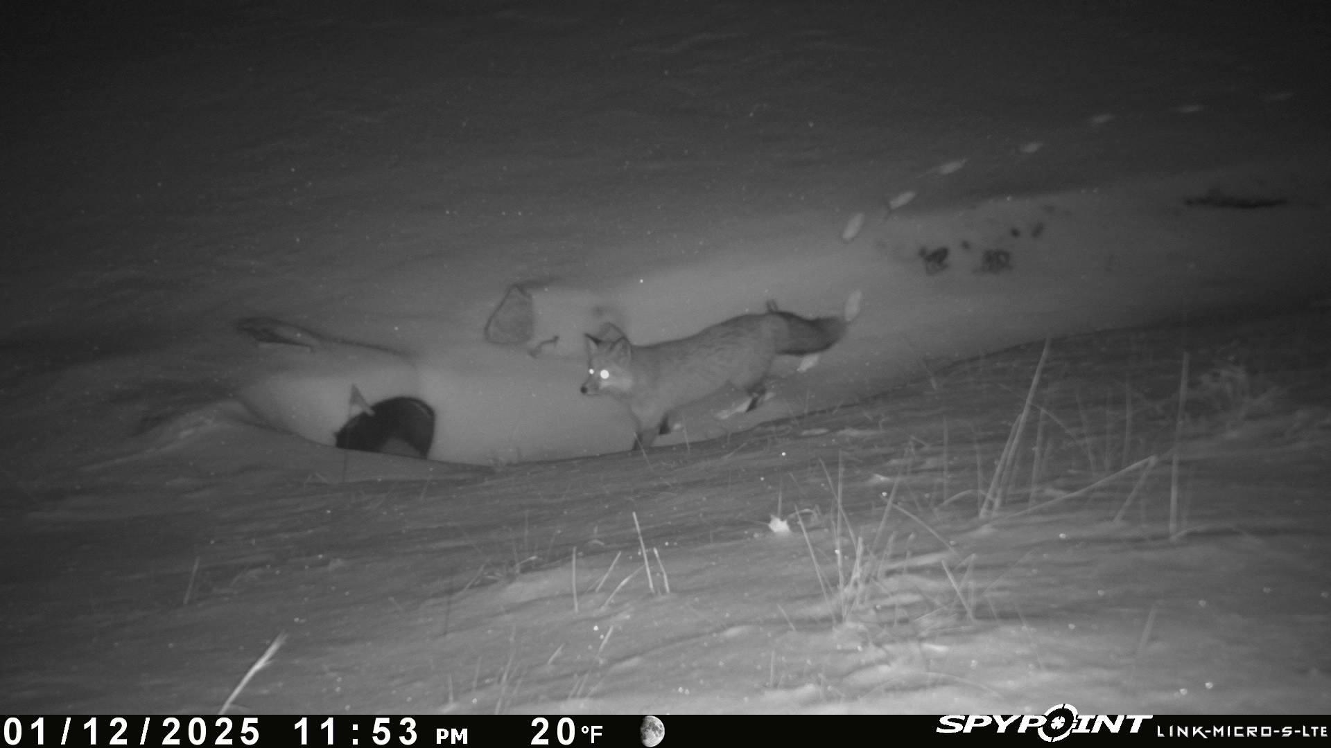 1590 Mill House Road Woolwine VA 24185