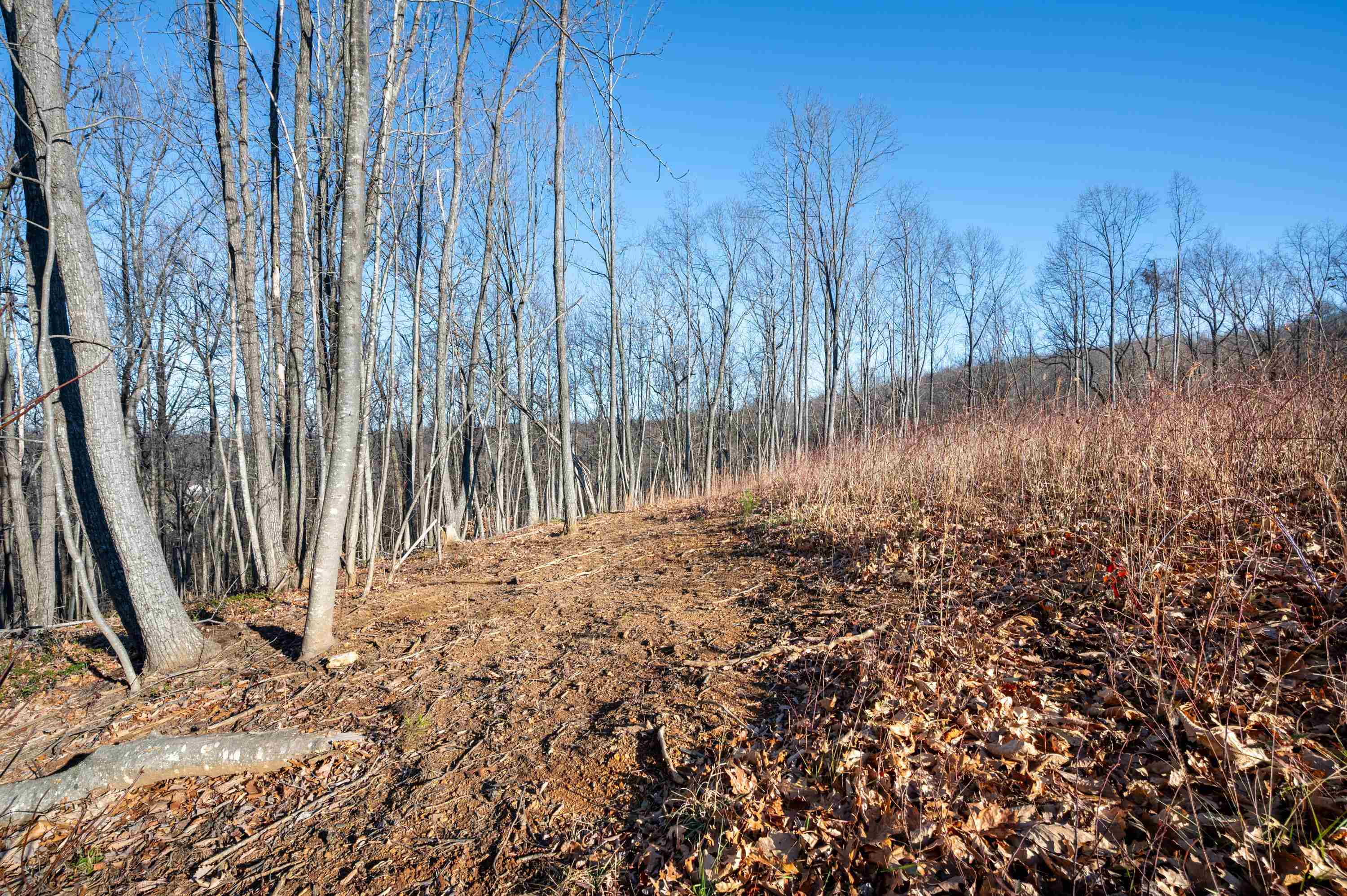 1590 Mill House Road Woolwine VA 24185