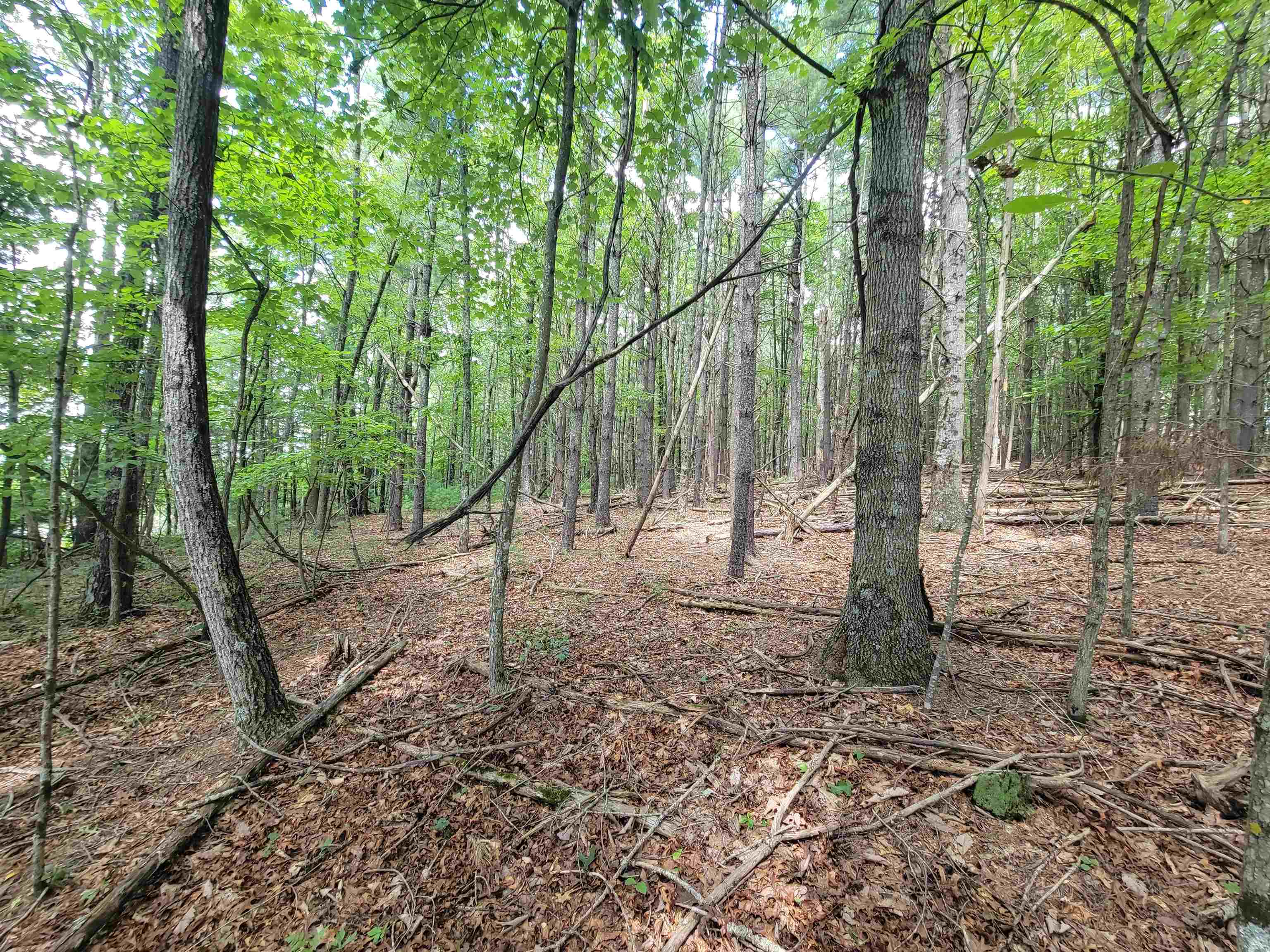 Tbd Coulson Church Road Austinville VA 24312