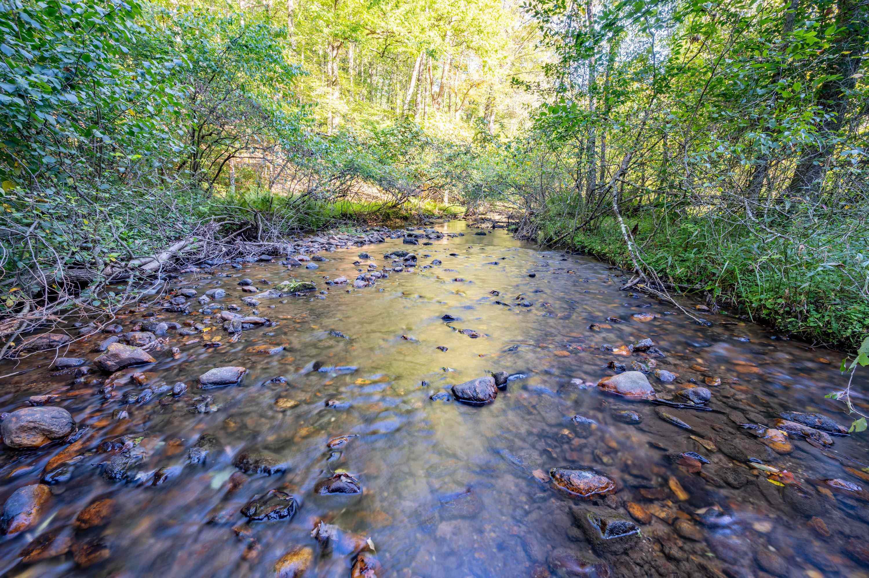 000 Cox Store Road SW Floyd VA 24091