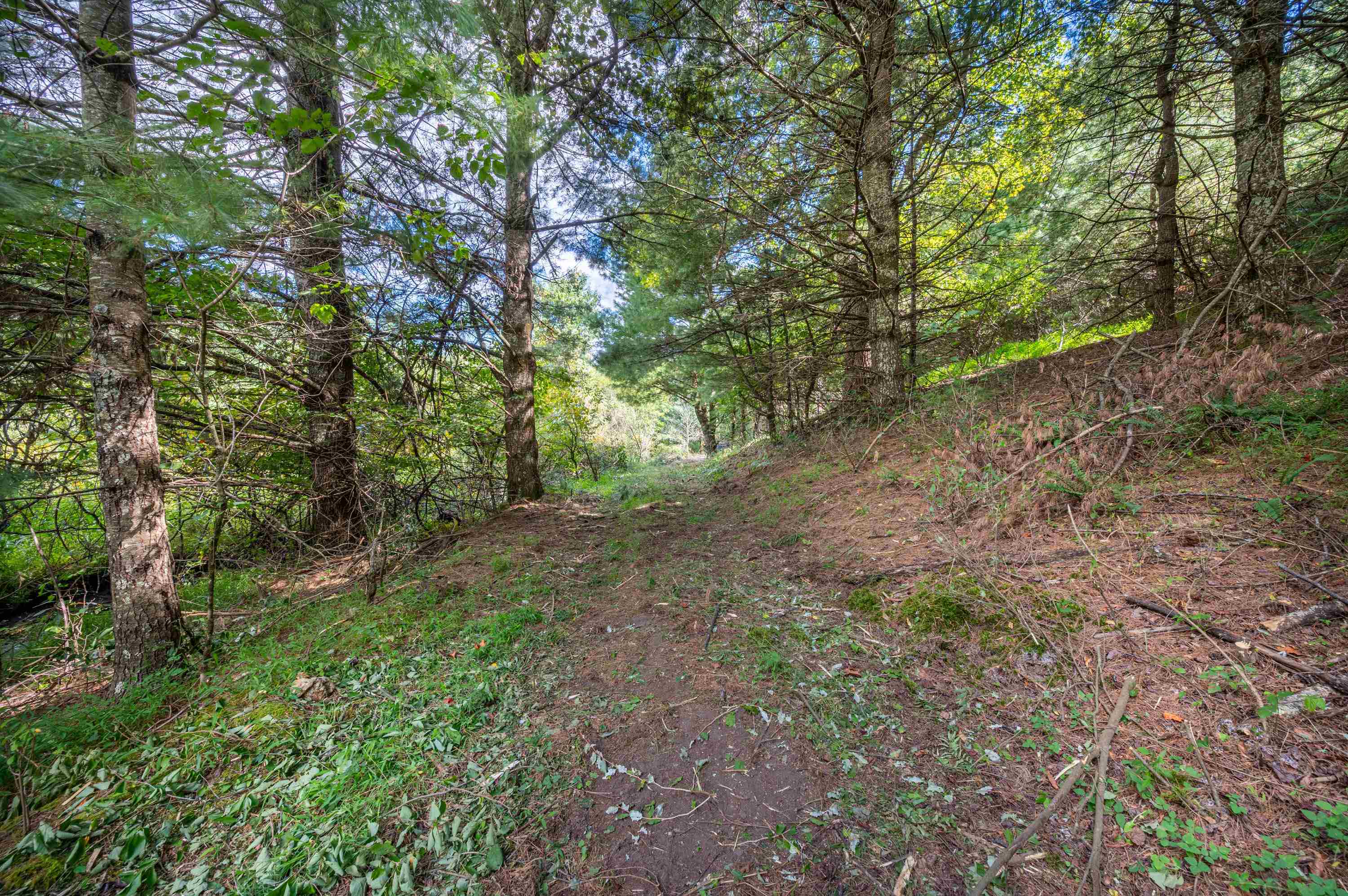 000 Cox Store Road SW Floyd VA 24091