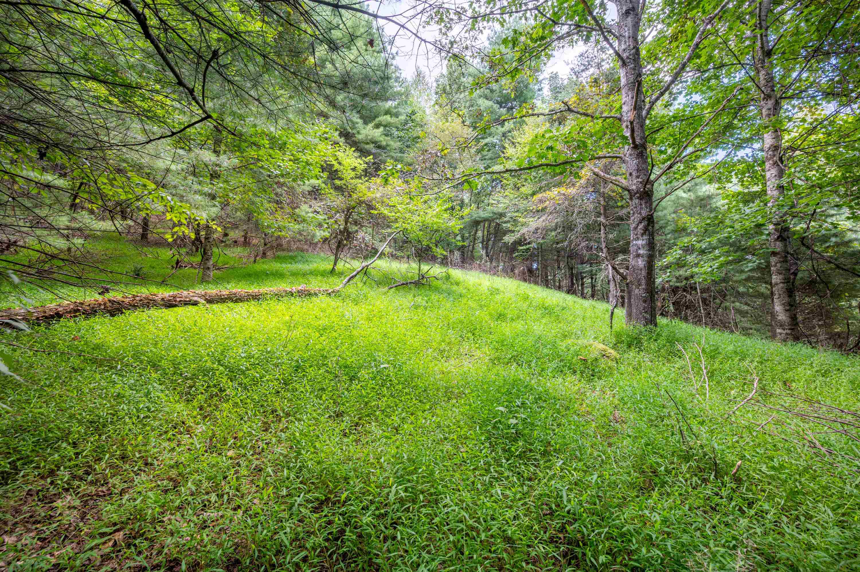 000 Cox Store Road SW Floyd VA 24091