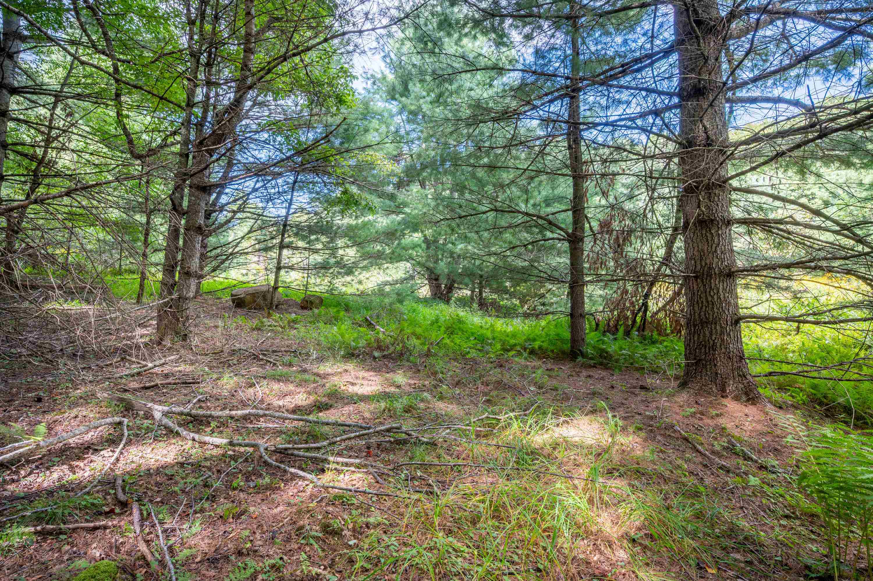 000 Cox Store Road SW Floyd VA 24091