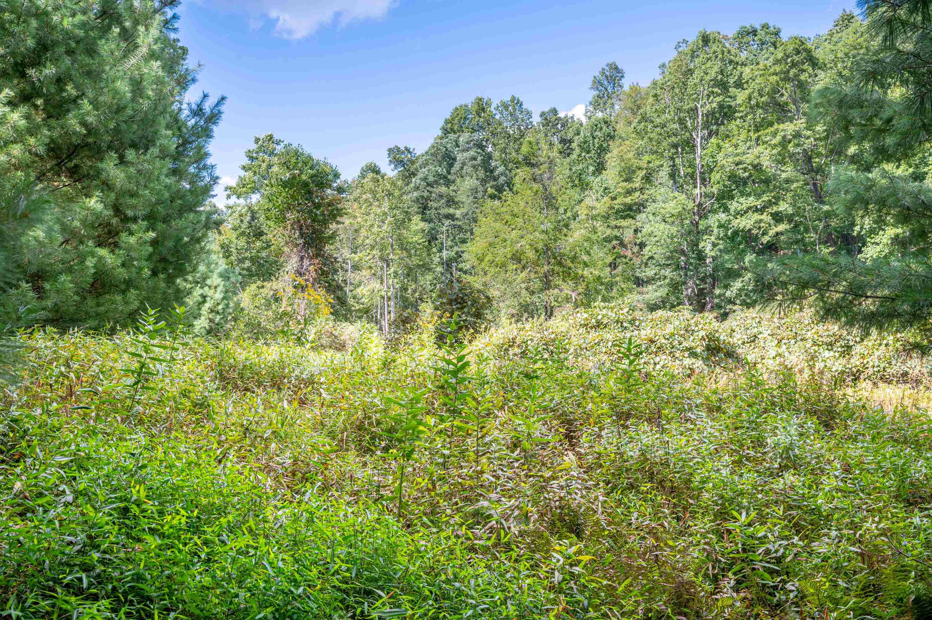 000 Cox Store Road SW Floyd VA 24091