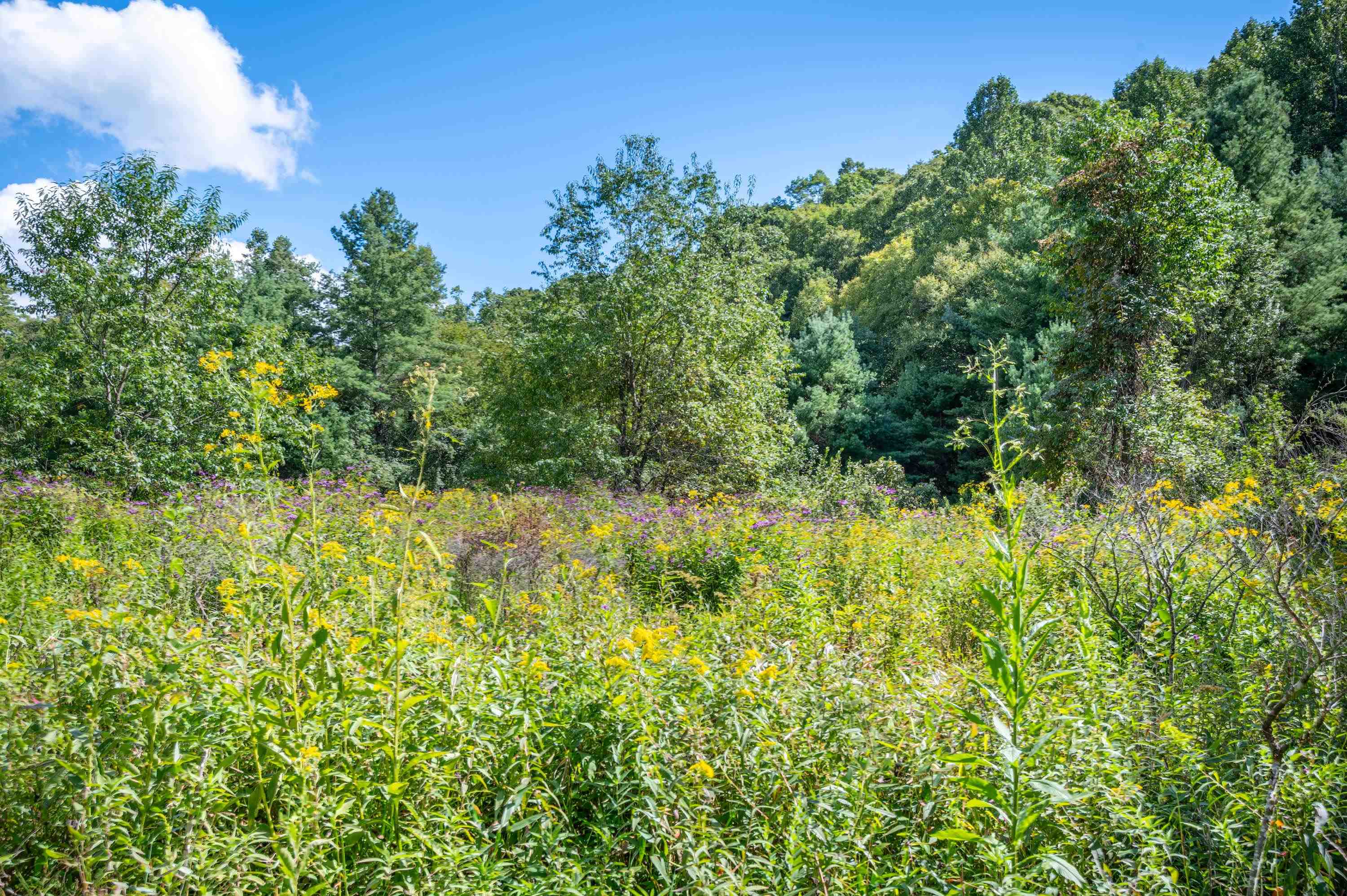 000 Cox Store Road SW Floyd VA 24091