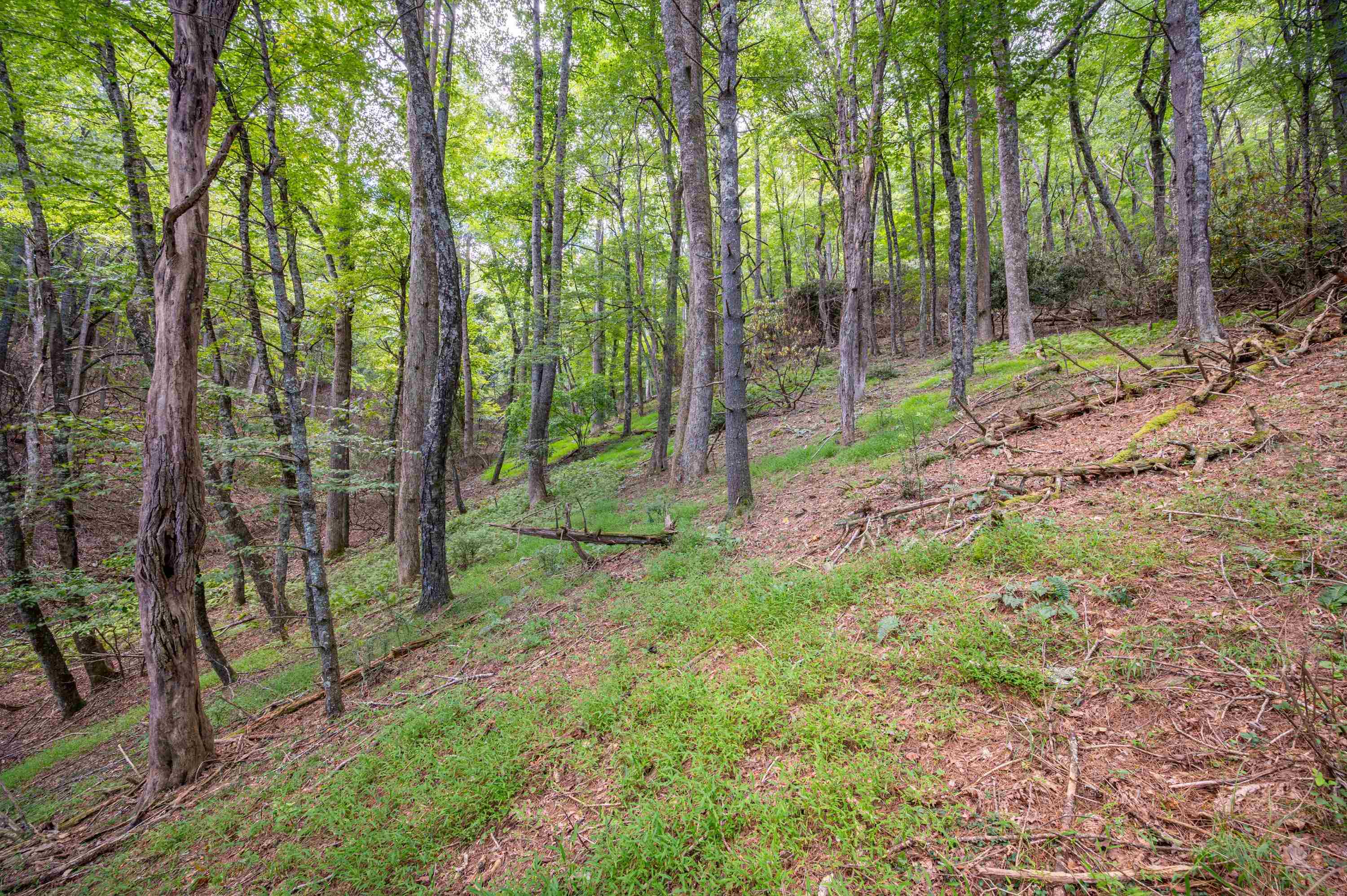 000 Cox Store Road SW Floyd VA 24091