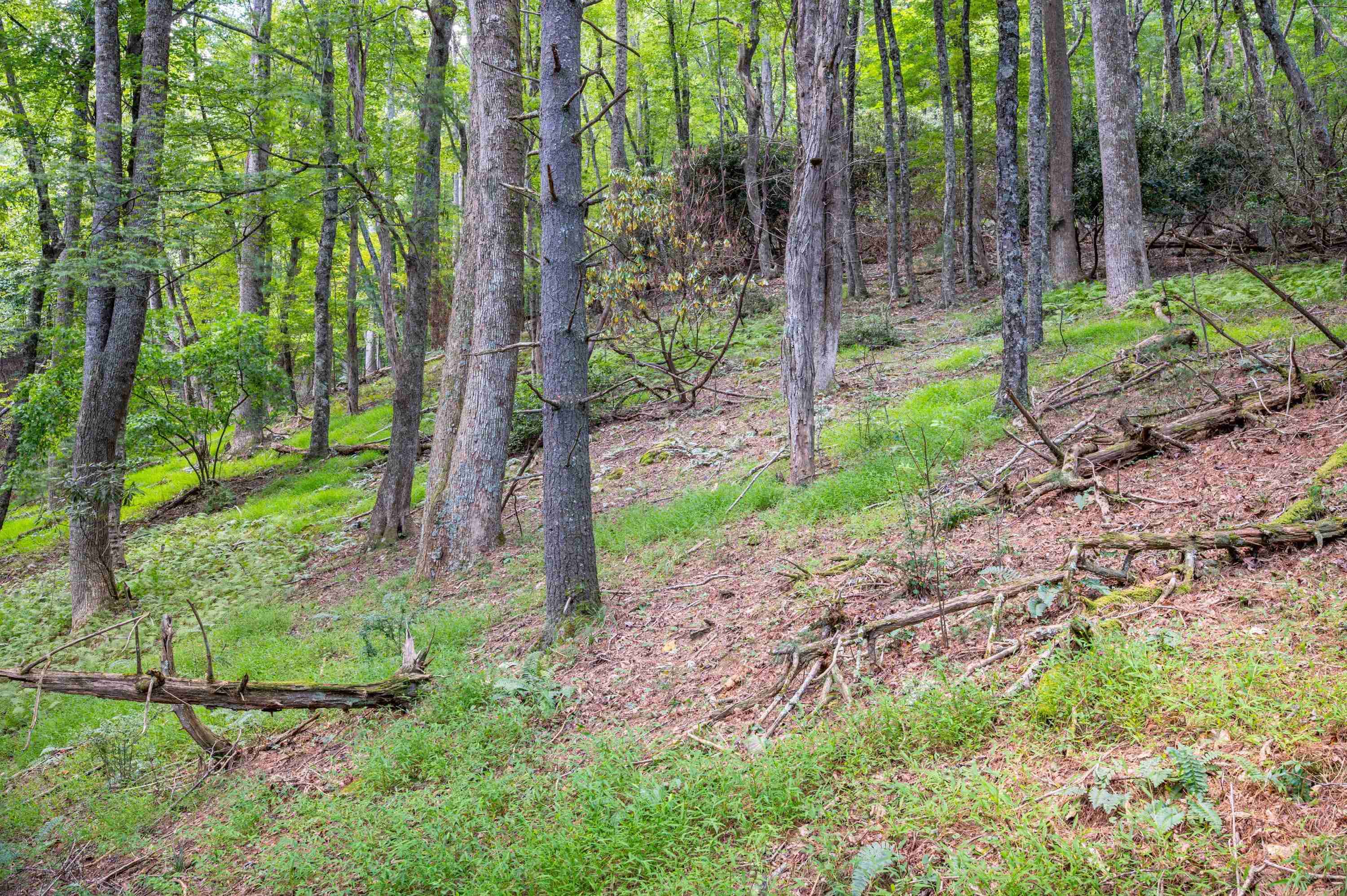 000 Cox Store Road SW Floyd VA 24091