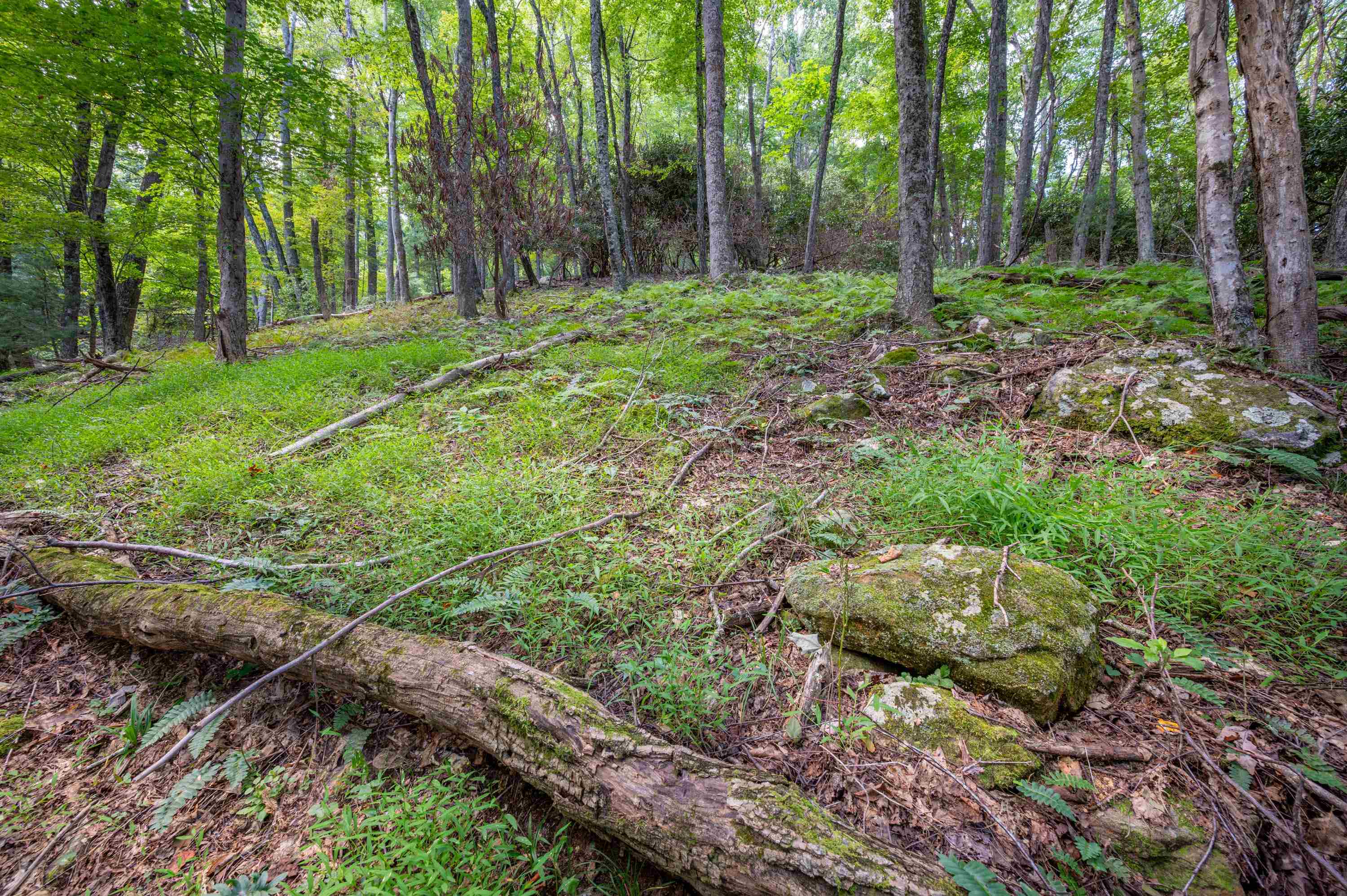 000 Cox Store Road SW Floyd VA 24091