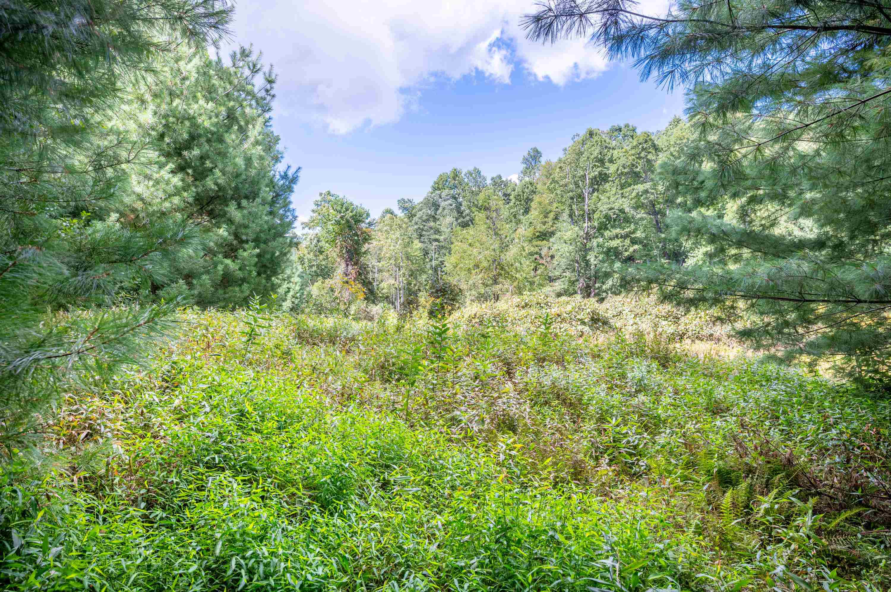 000 Cox Store Road SW Floyd VA 24091