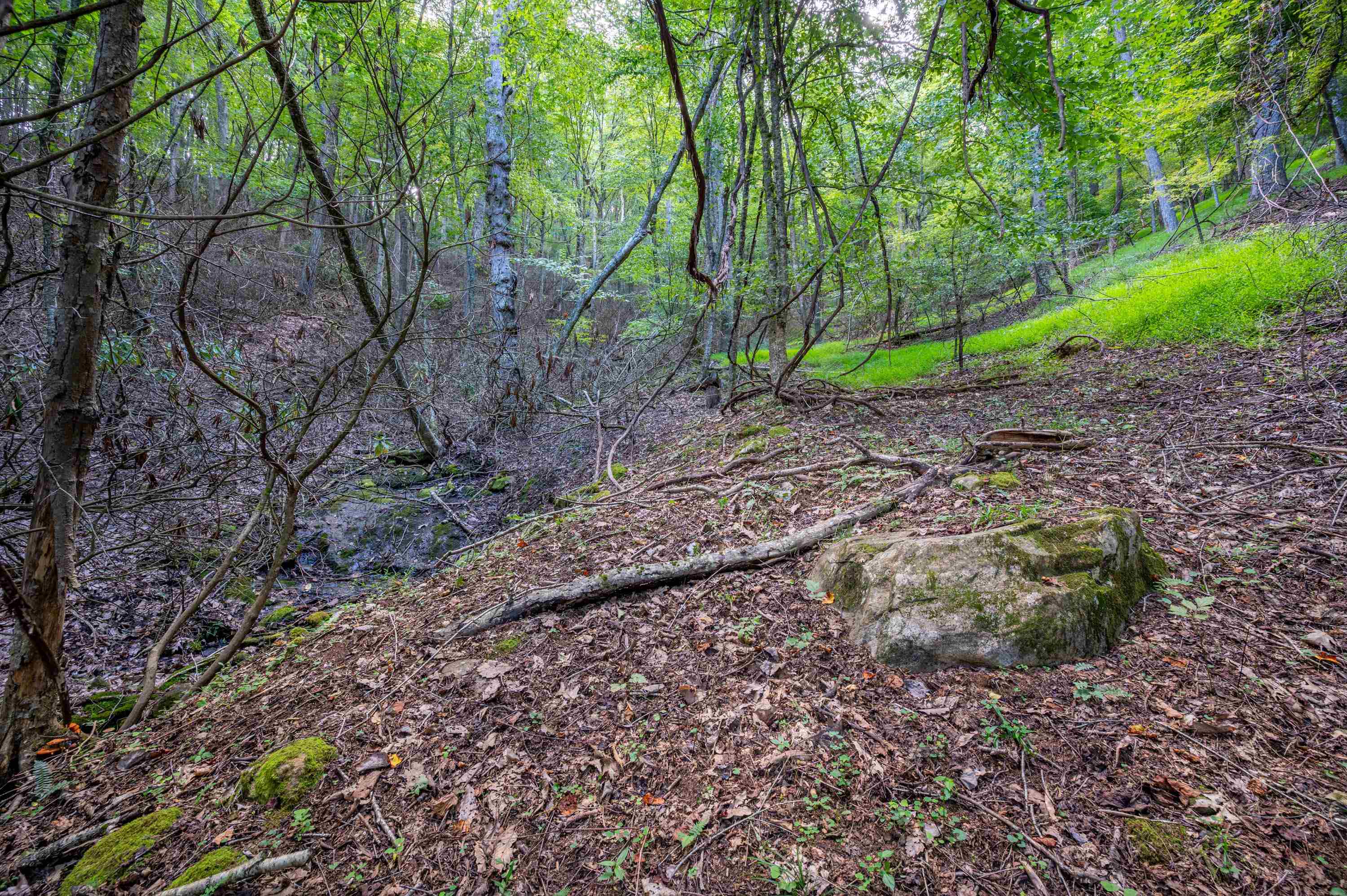 000 Cox Store Road SW Floyd VA 24091