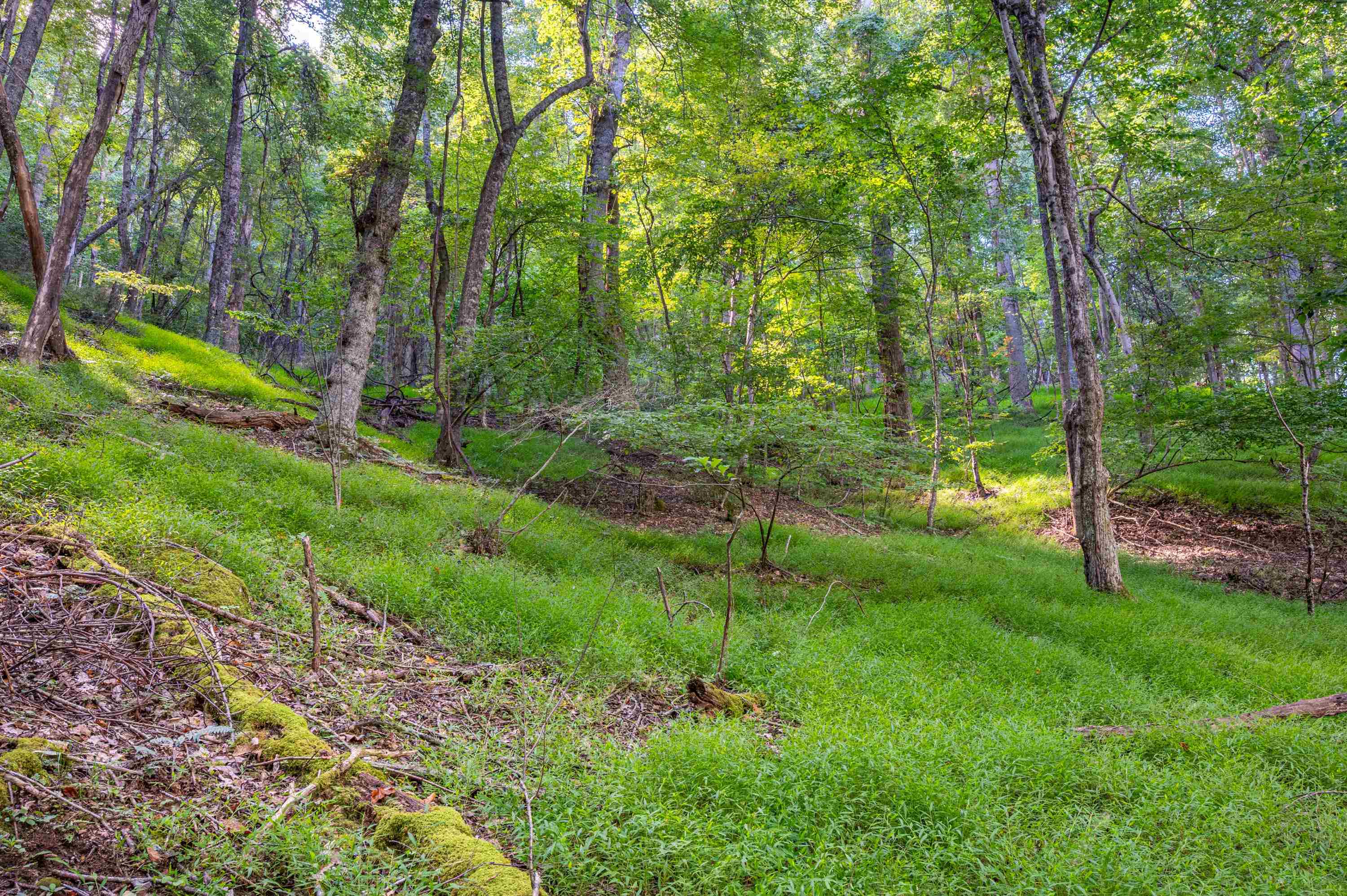 000 Cox Store Road SW Floyd VA 24091