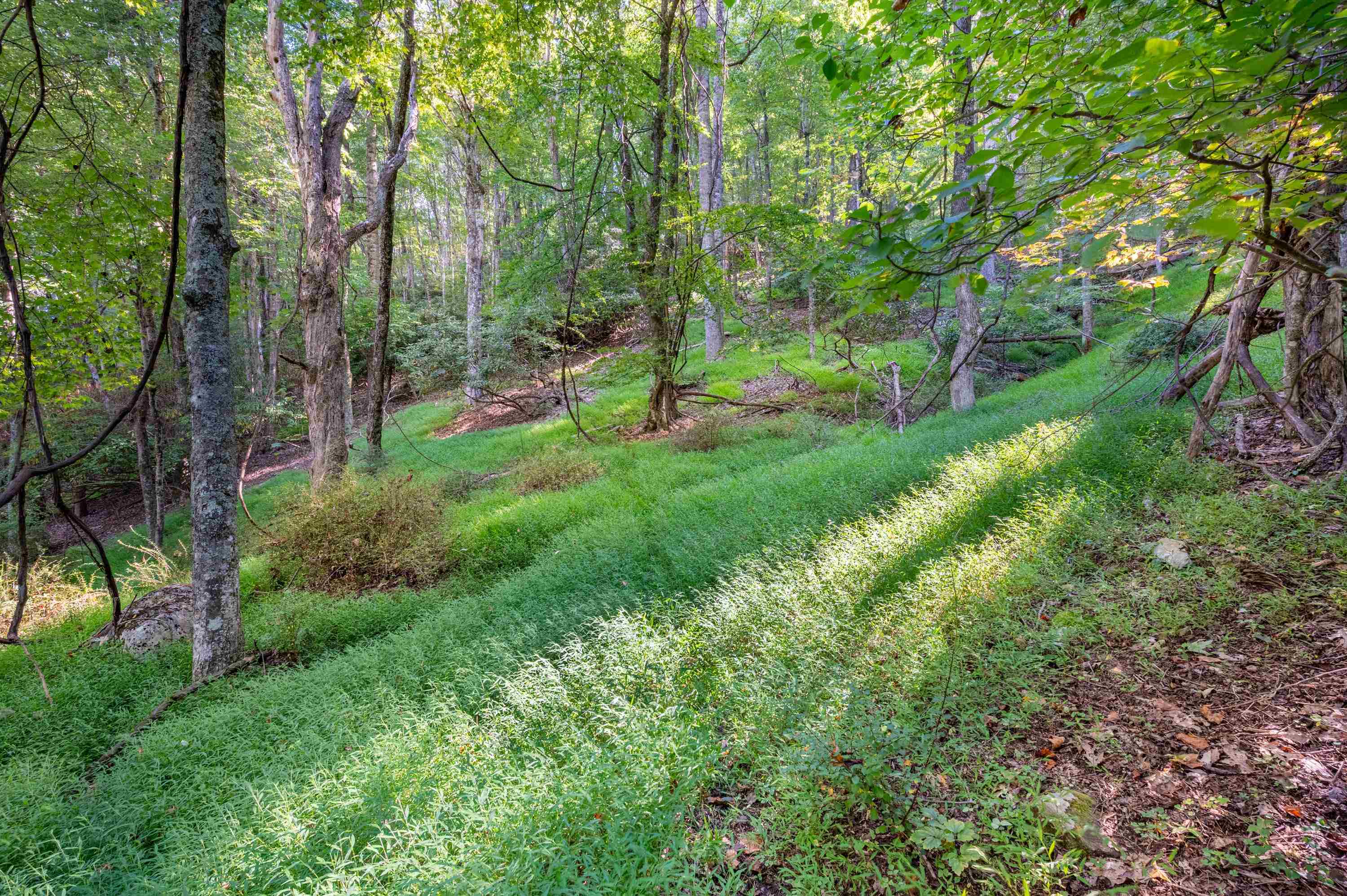 000 Cox Store Road SW Floyd VA 24091