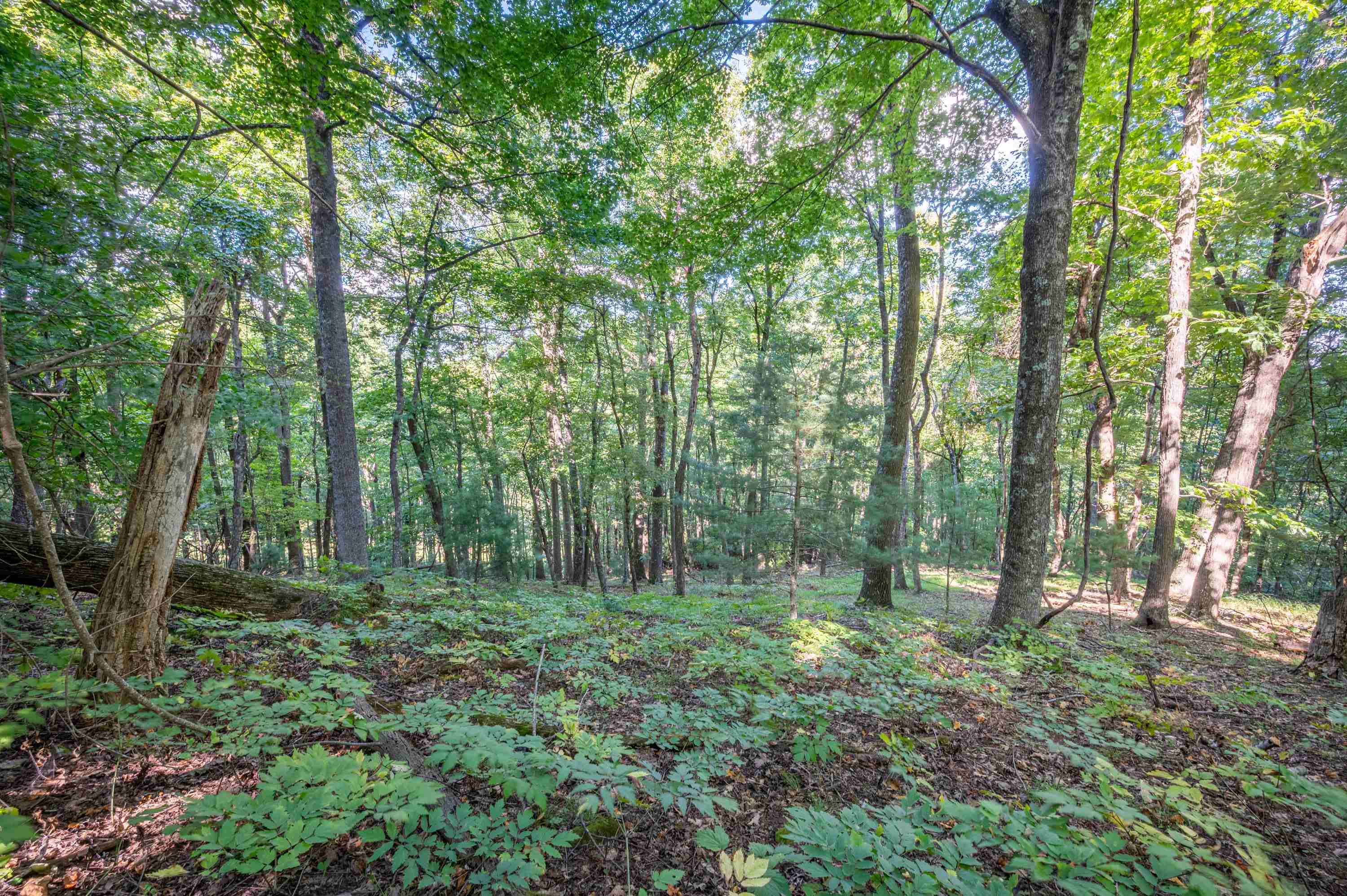 000 Cox Store Road SW Floyd VA 24091