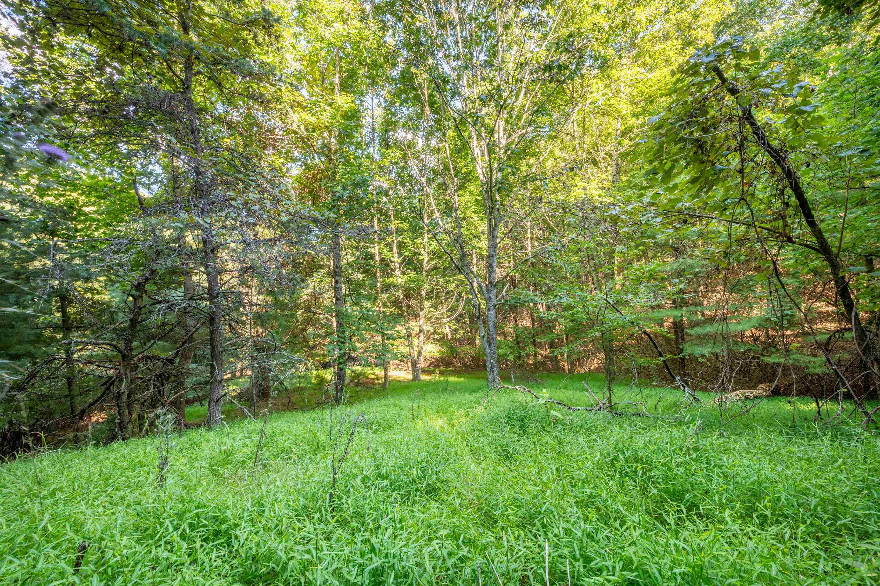 000 Cox Store Road SW Floyd VA 24091