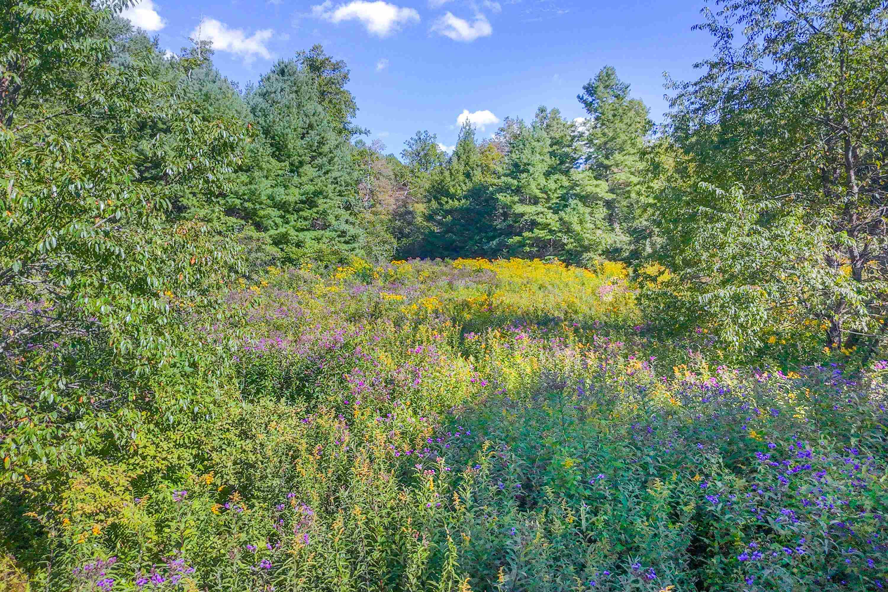 000 Cox Store Road SW Floyd VA 24091