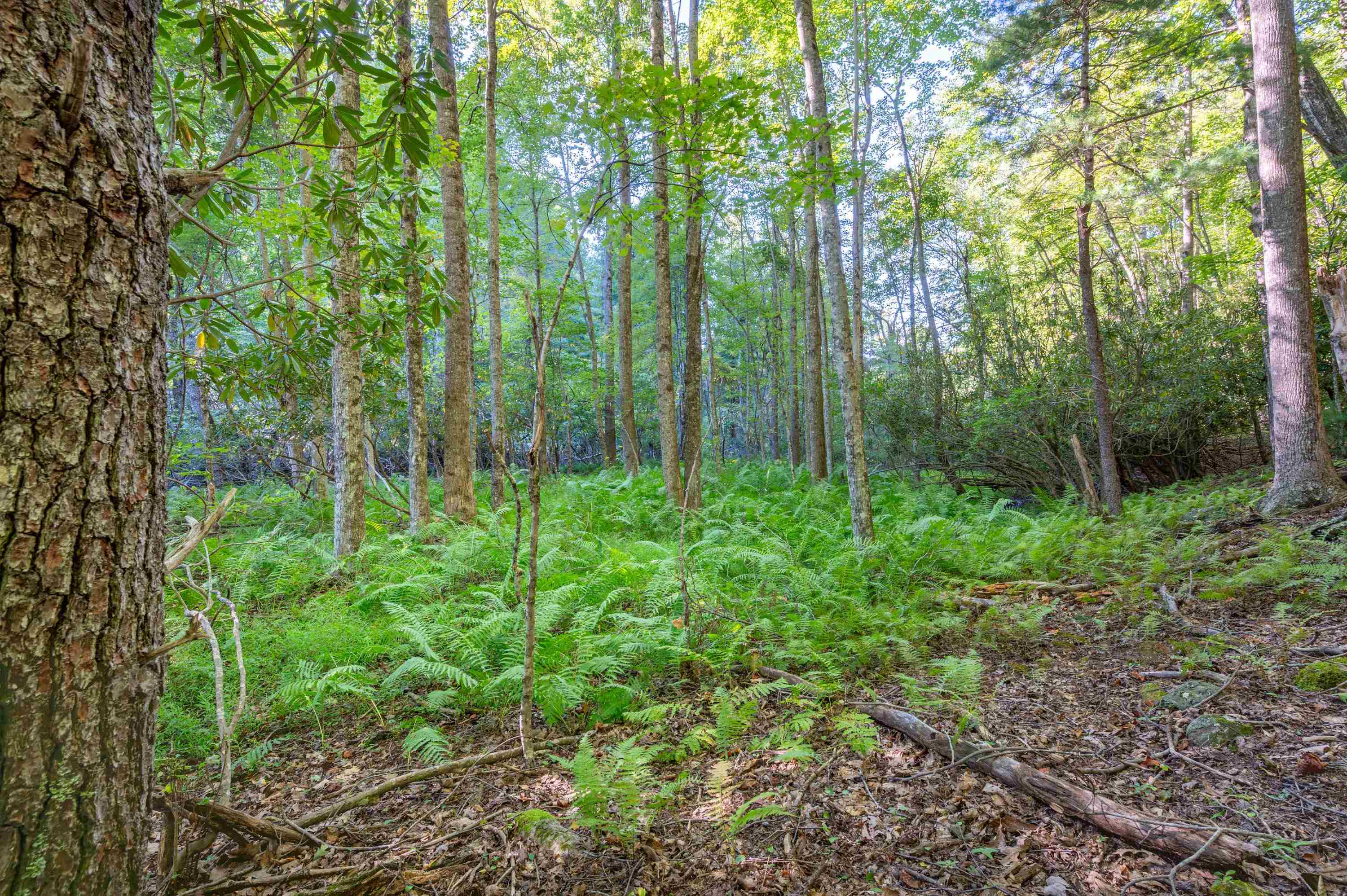 000 Cox Store Road SW Floyd VA 24091