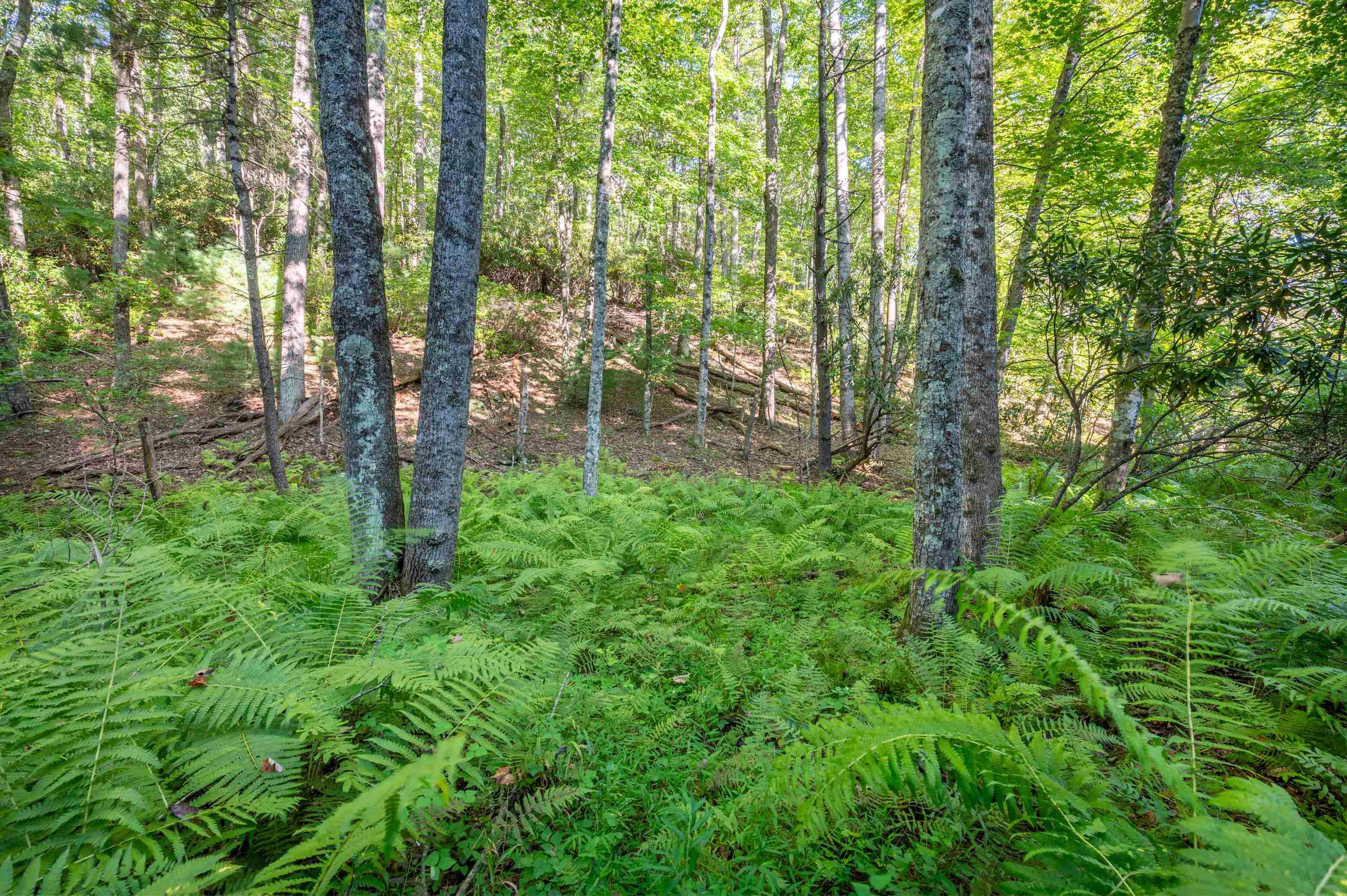 000 Cox Store Road SW Floyd VA 24091