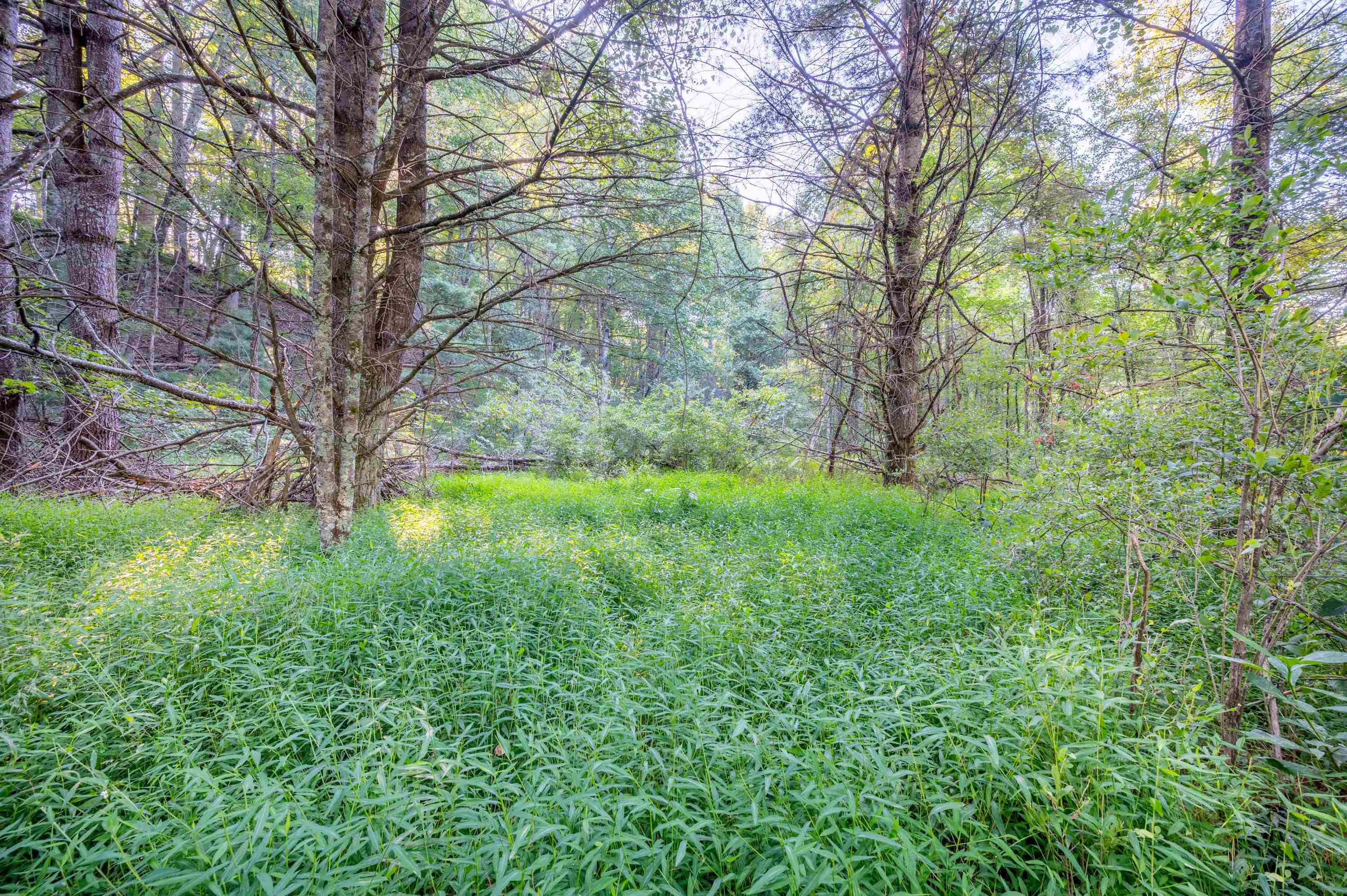 000 Cox Store Road SW Floyd VA 24091