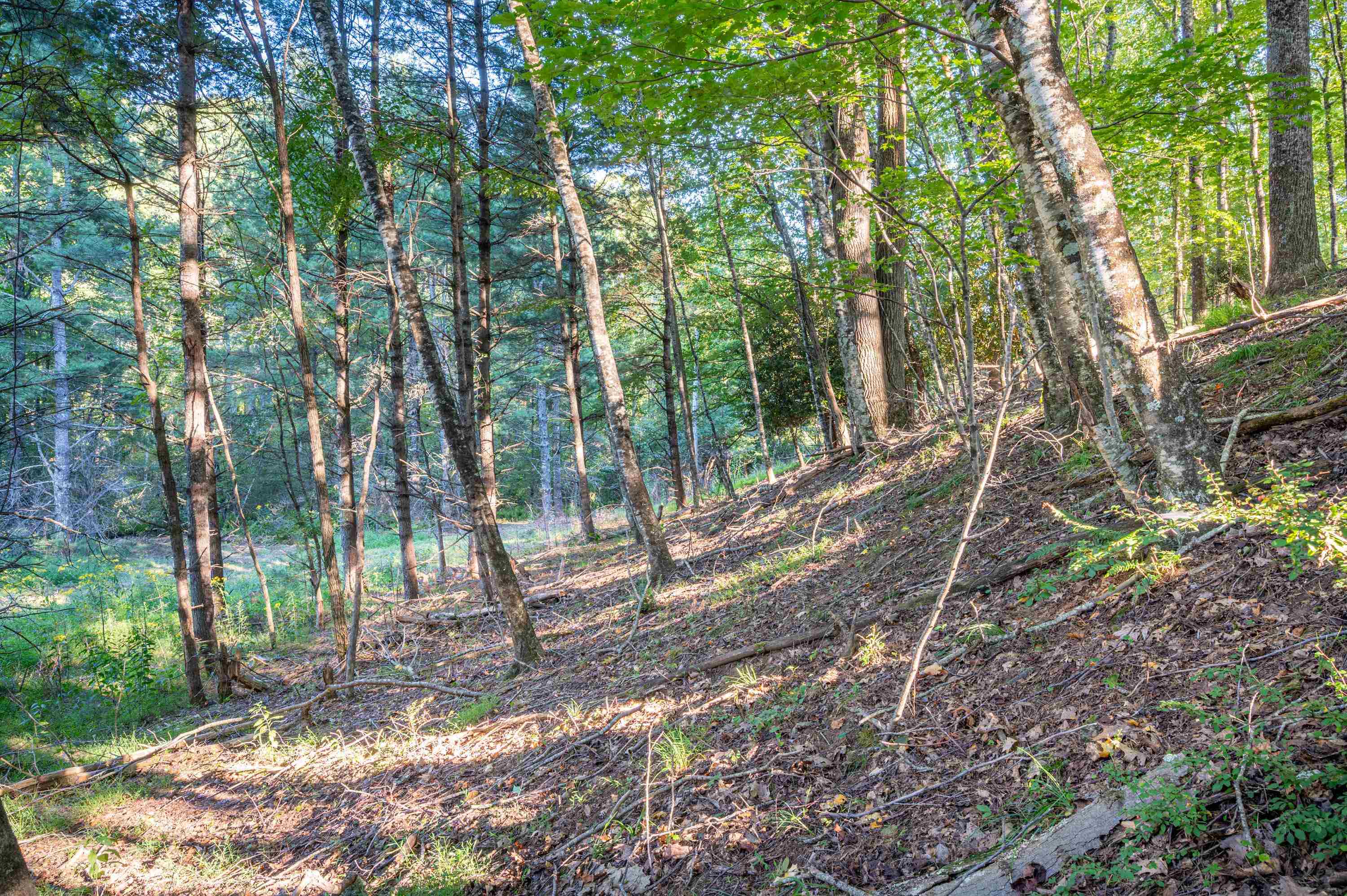 000 Cox Store Road SW Floyd VA 24091