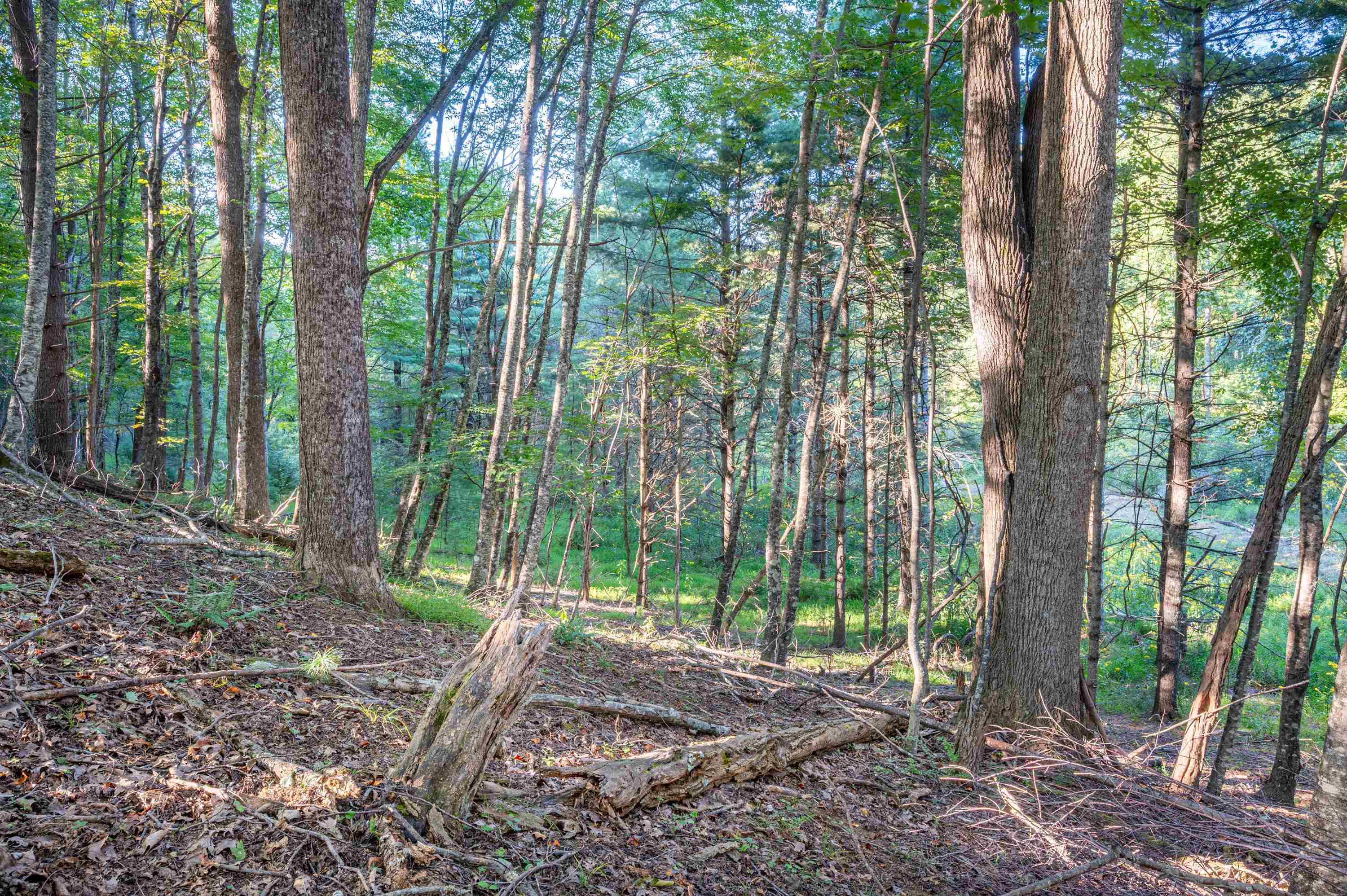 000 Cox Store Road SW Floyd VA 24091