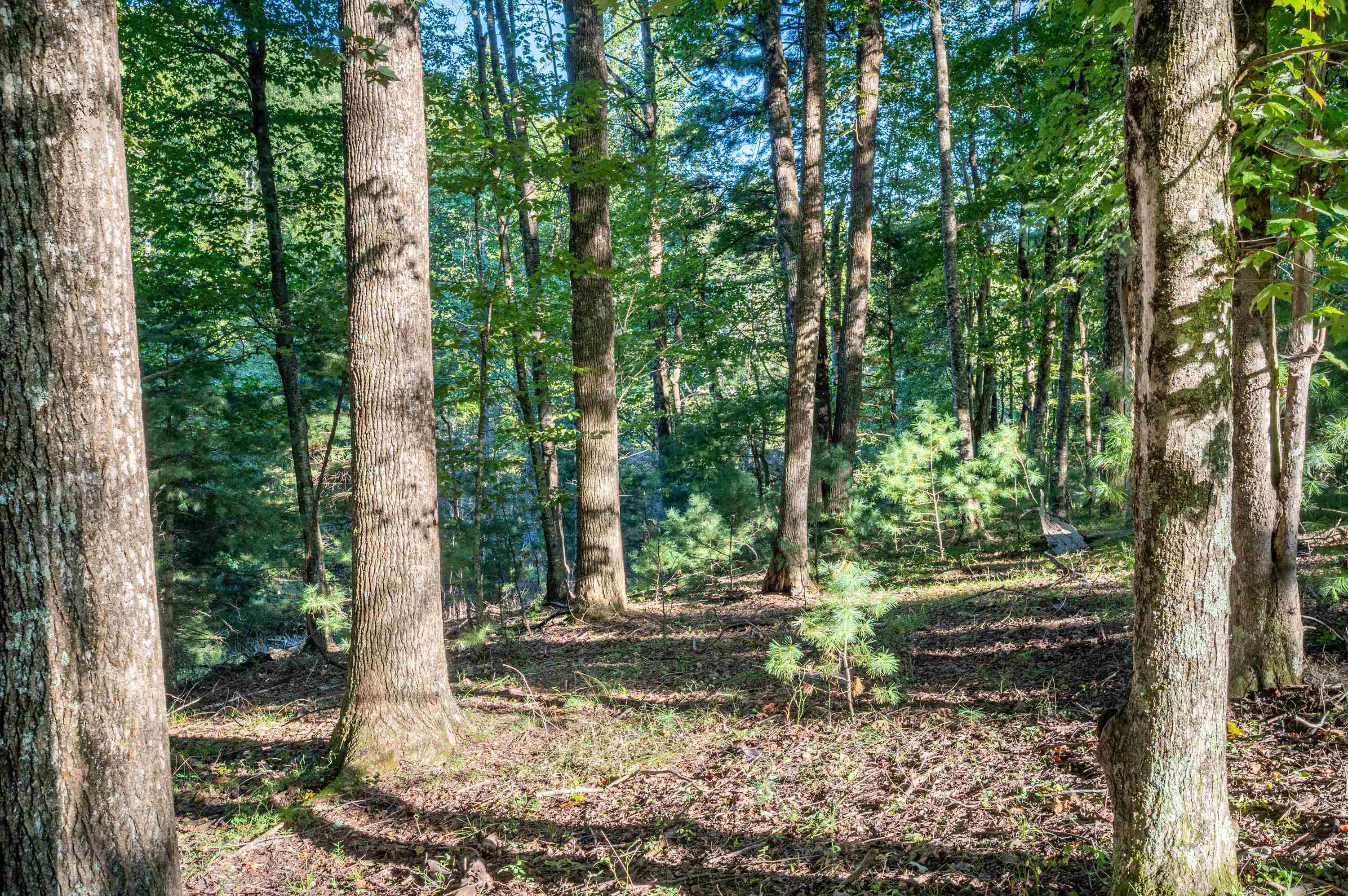 000 Cox Store Road SW Floyd VA 24091