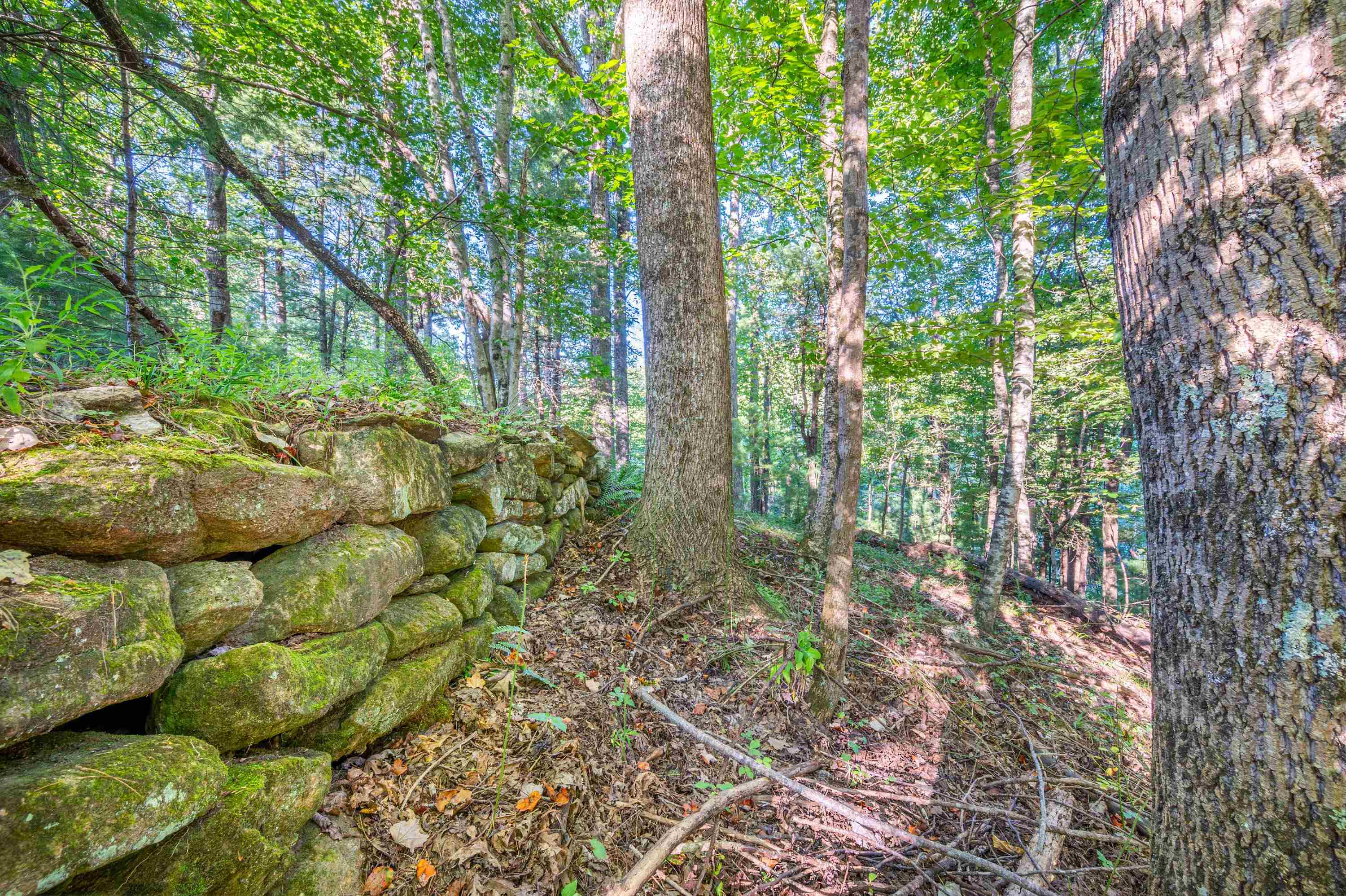 000 Cox Store Road SW Floyd VA 24091