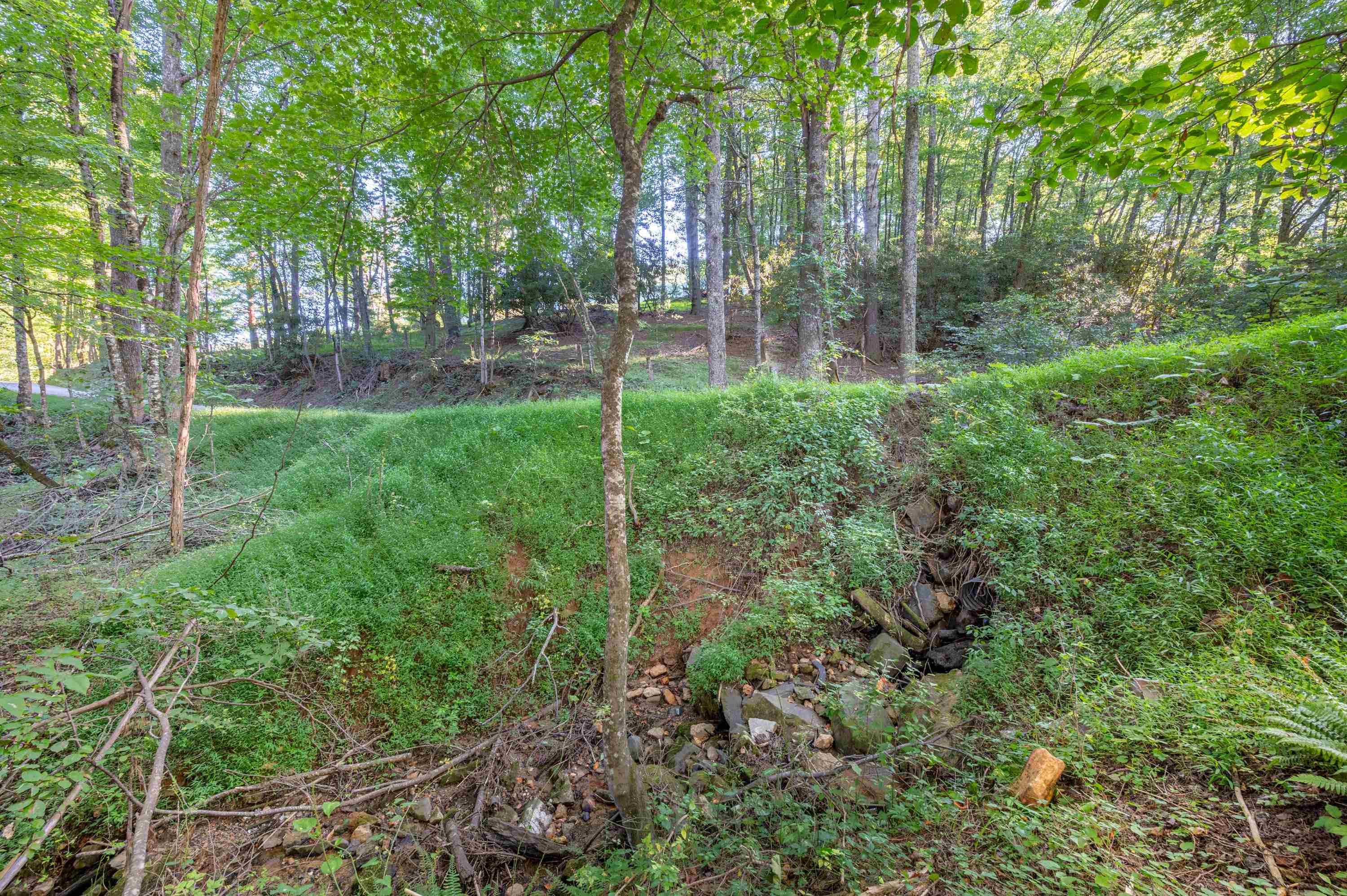 000 Cox Store Road SW Floyd VA 24091