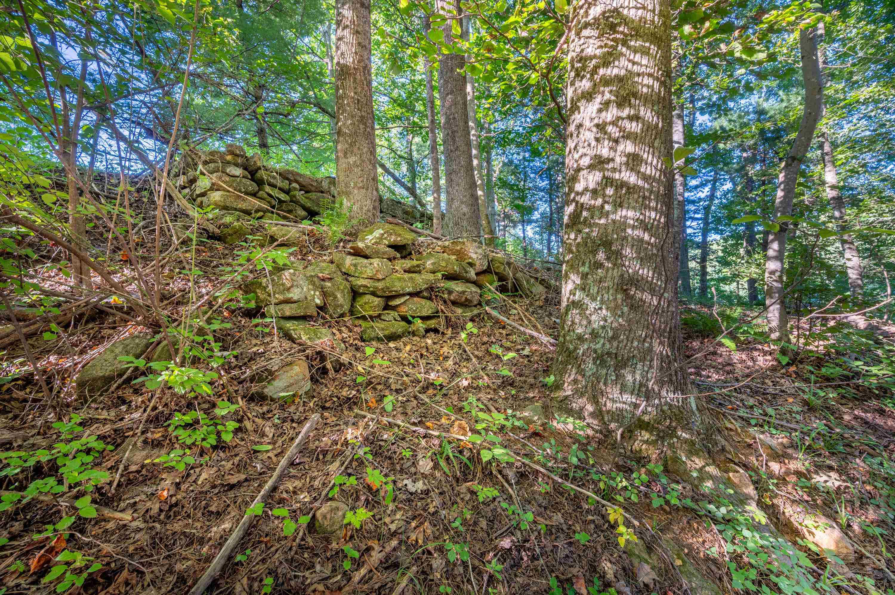 000 Cox Store Road SW Floyd VA 24091