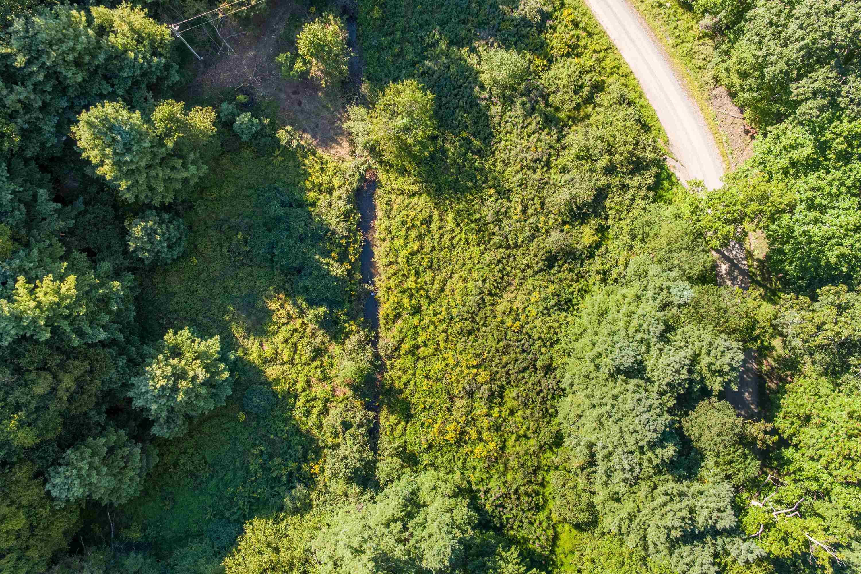 000 Cox Store Road SW Floyd VA 24091