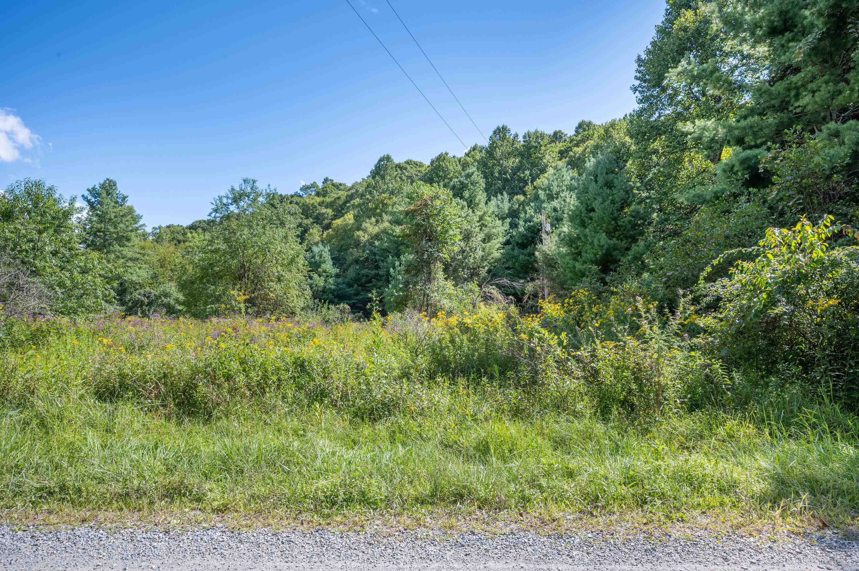 000 Cox Store Road SW Floyd VA 24091