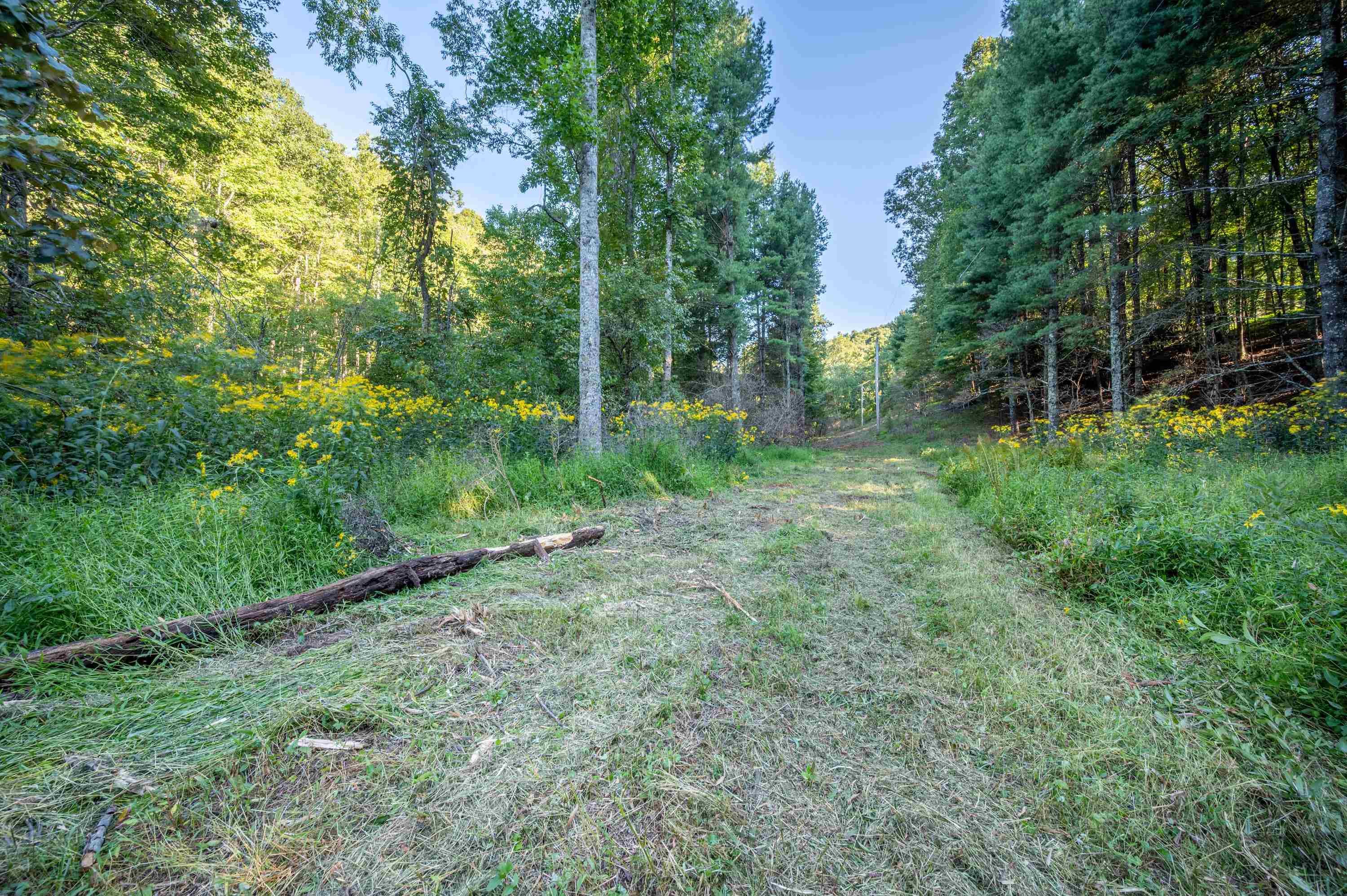 000 Cox Store Road SW Floyd VA 24091