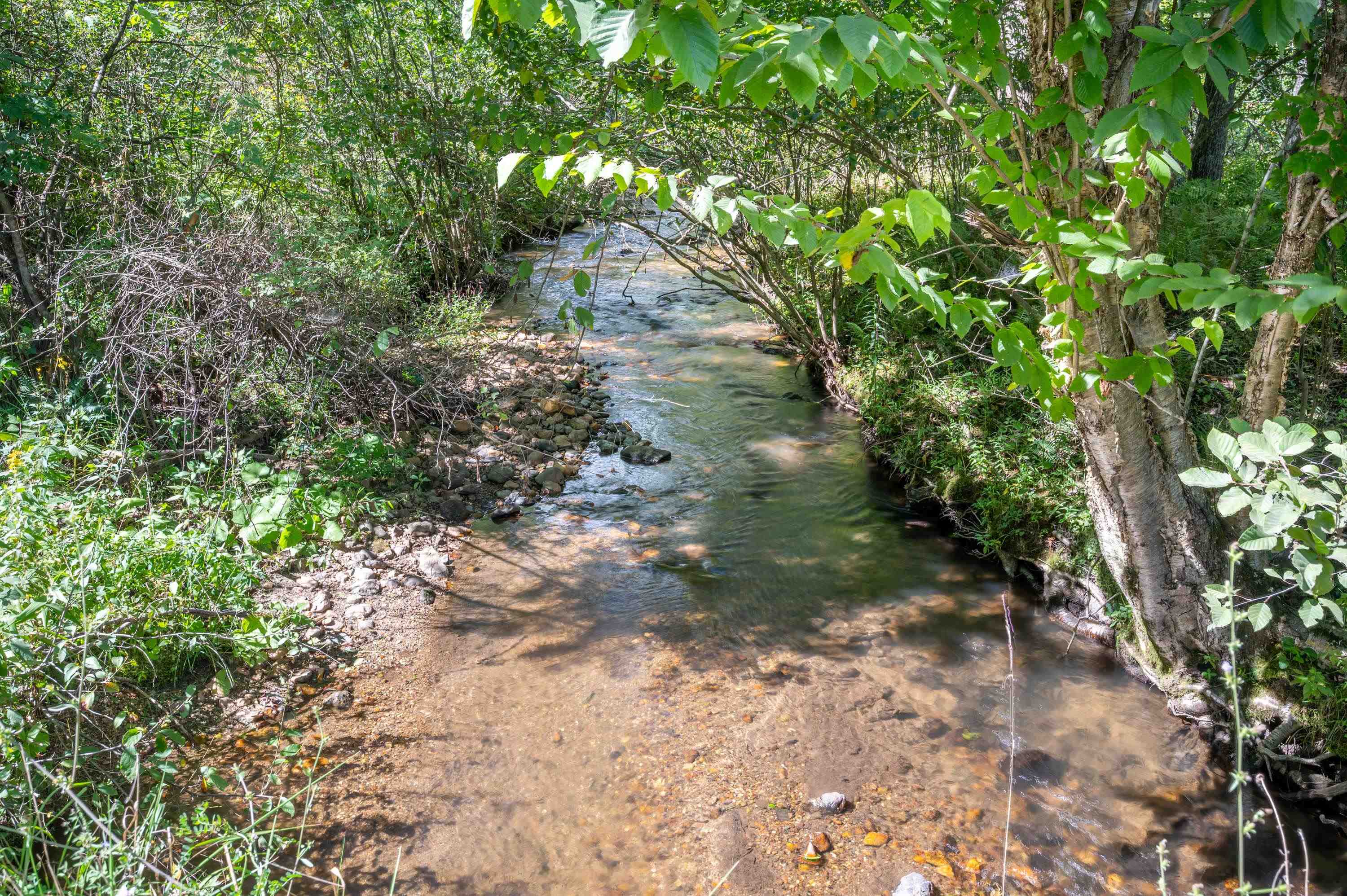 000 Cox Store Road SW Floyd VA 24091