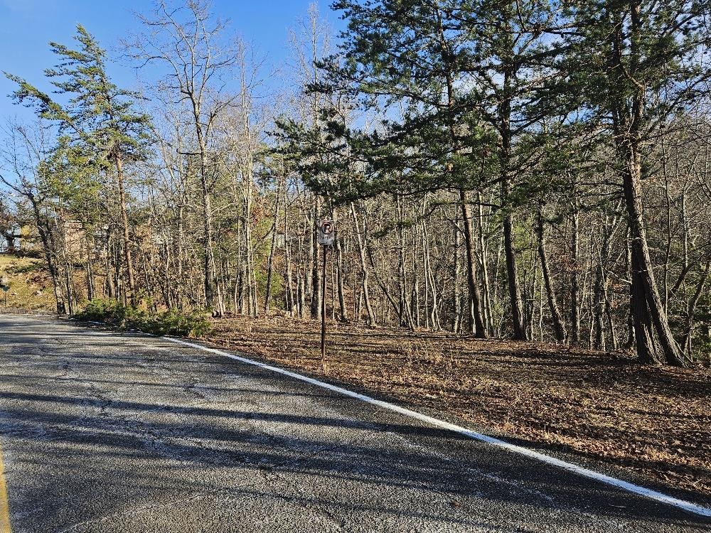 Tbd Hermosa Drive Pulaski VA 24301