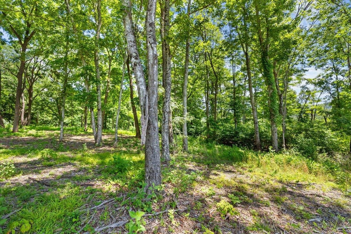 Tbd Lota-21.acr Baptist Hollow Road Hiwassee VA 24347