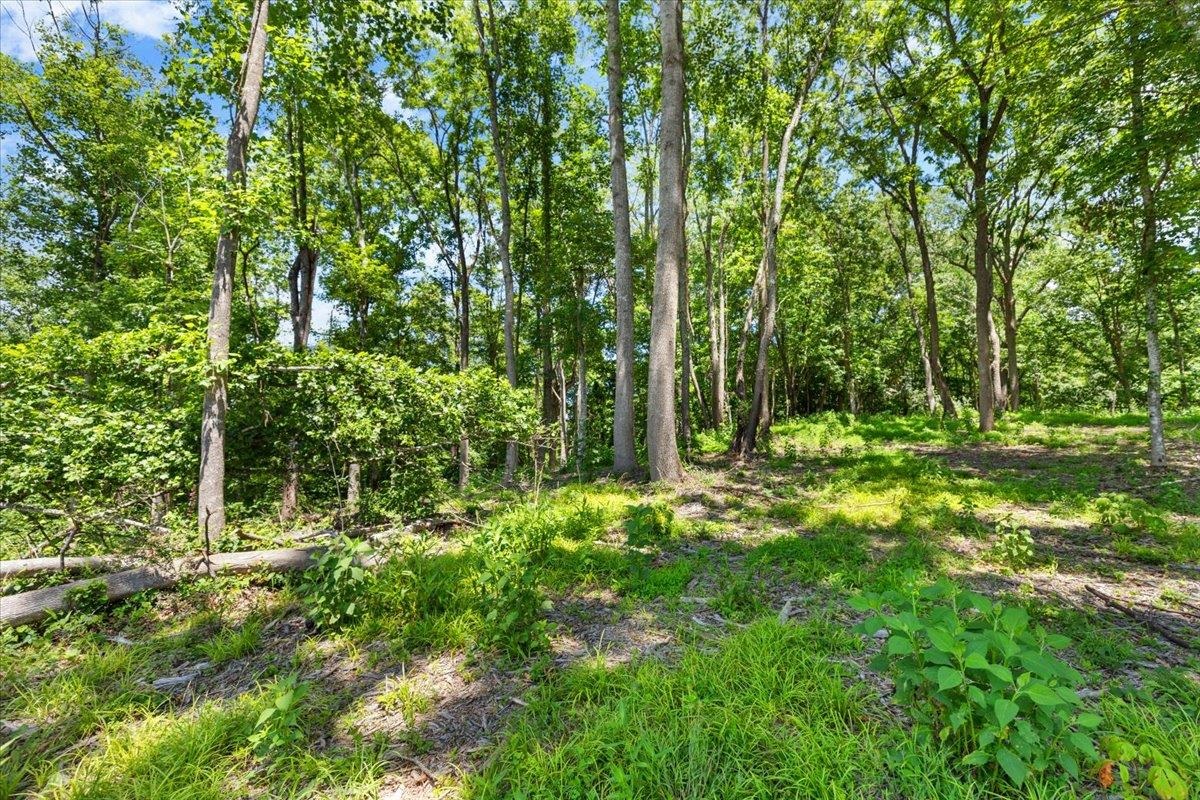 Tbd Lota-21.acr Baptist Hollow Road Hiwassee VA 24347