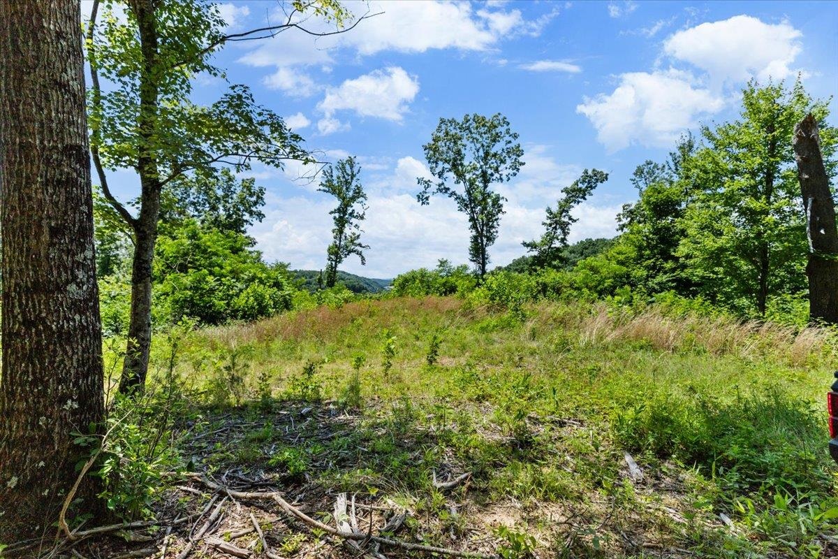 Tbd Lota-21.acr Baptist Hollow Road Hiwassee VA 24347