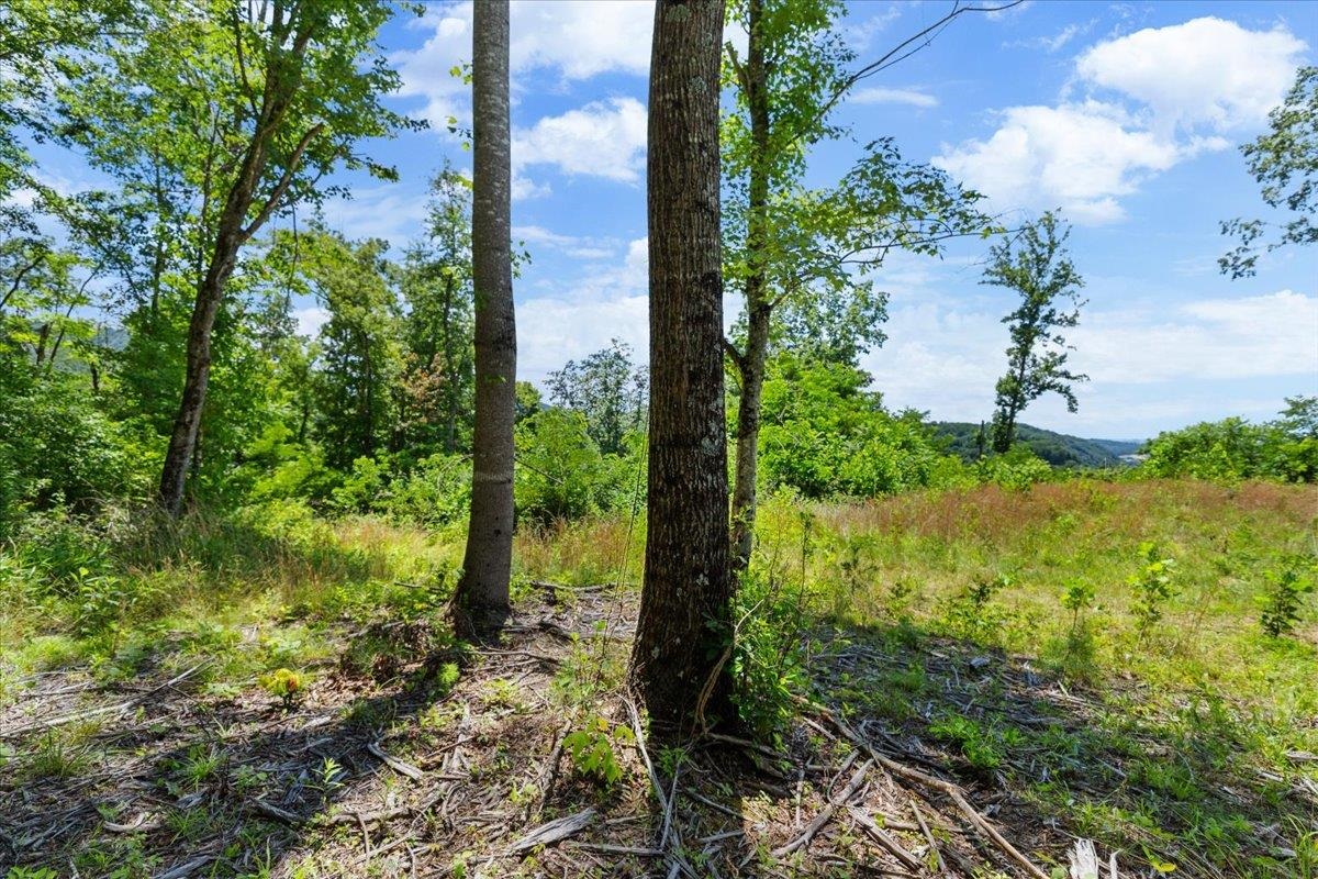 Tbd Lota-21.acr Baptist Hollow Road Hiwassee VA 24347