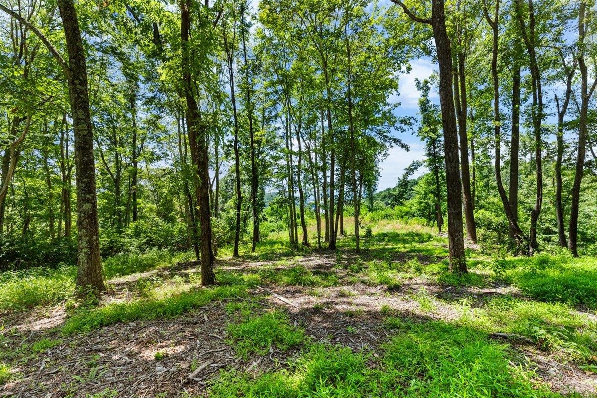 Tbd Lota-21.acr Baptist Hollow Road Hiwassee VA 24347