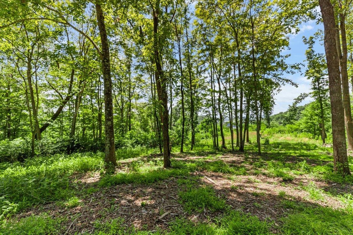 Tbd Lota-21.acr Baptist Hollow Road Hiwassee VA 24347