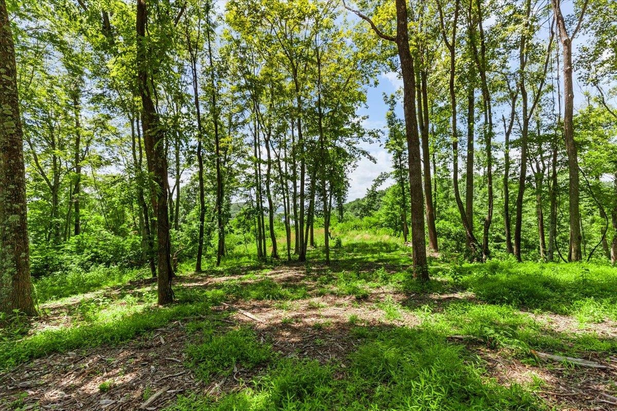 Tbd Lota-21.acr Baptist Hollow Road Hiwassee VA 24347