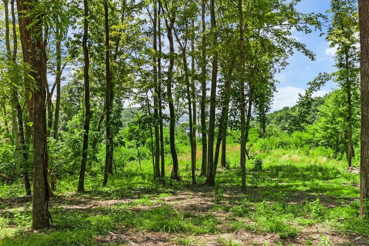 Tbd Lota-21.acr Baptist Hollow Road Hiwassee VA 24347