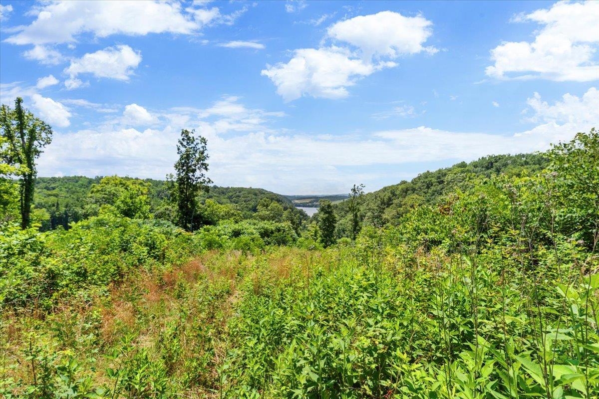 Tbd Lota-21.acr Baptist Hollow Road Hiwassee VA 24347