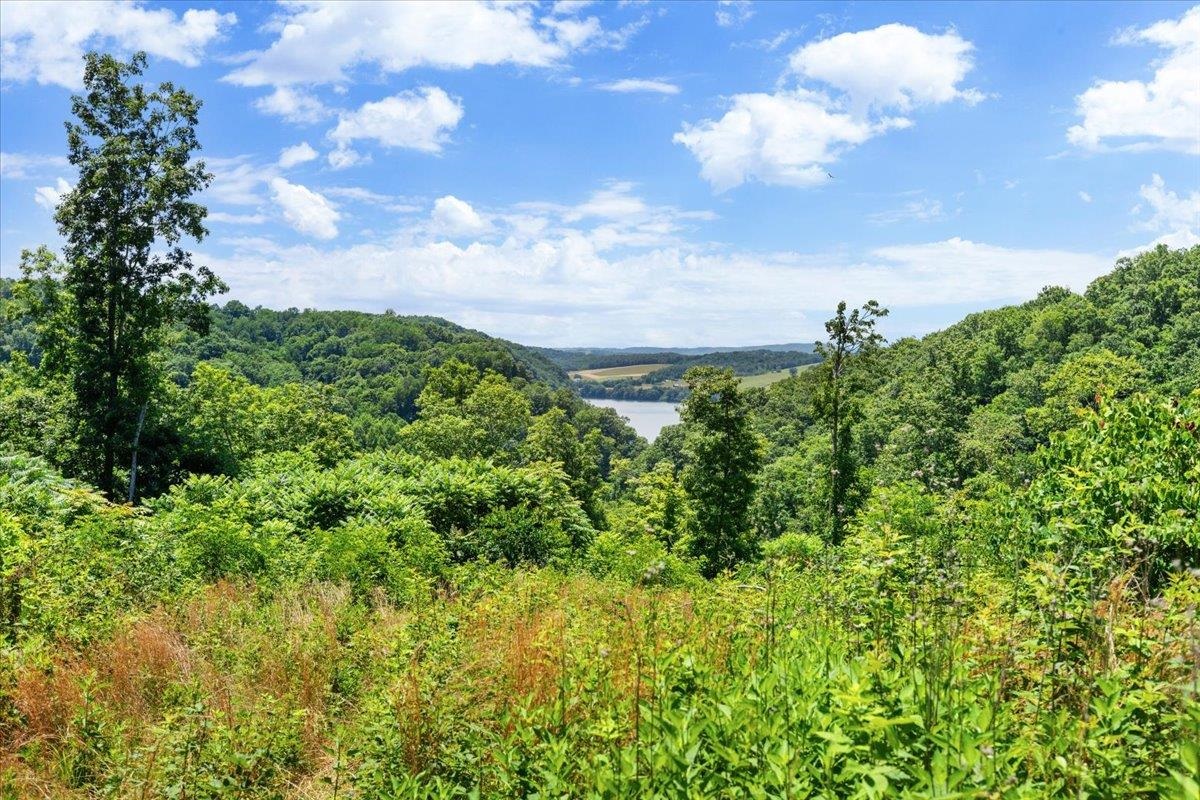 Tbd Lota-21.acr Baptist Hollow Road Hiwassee VA 24347