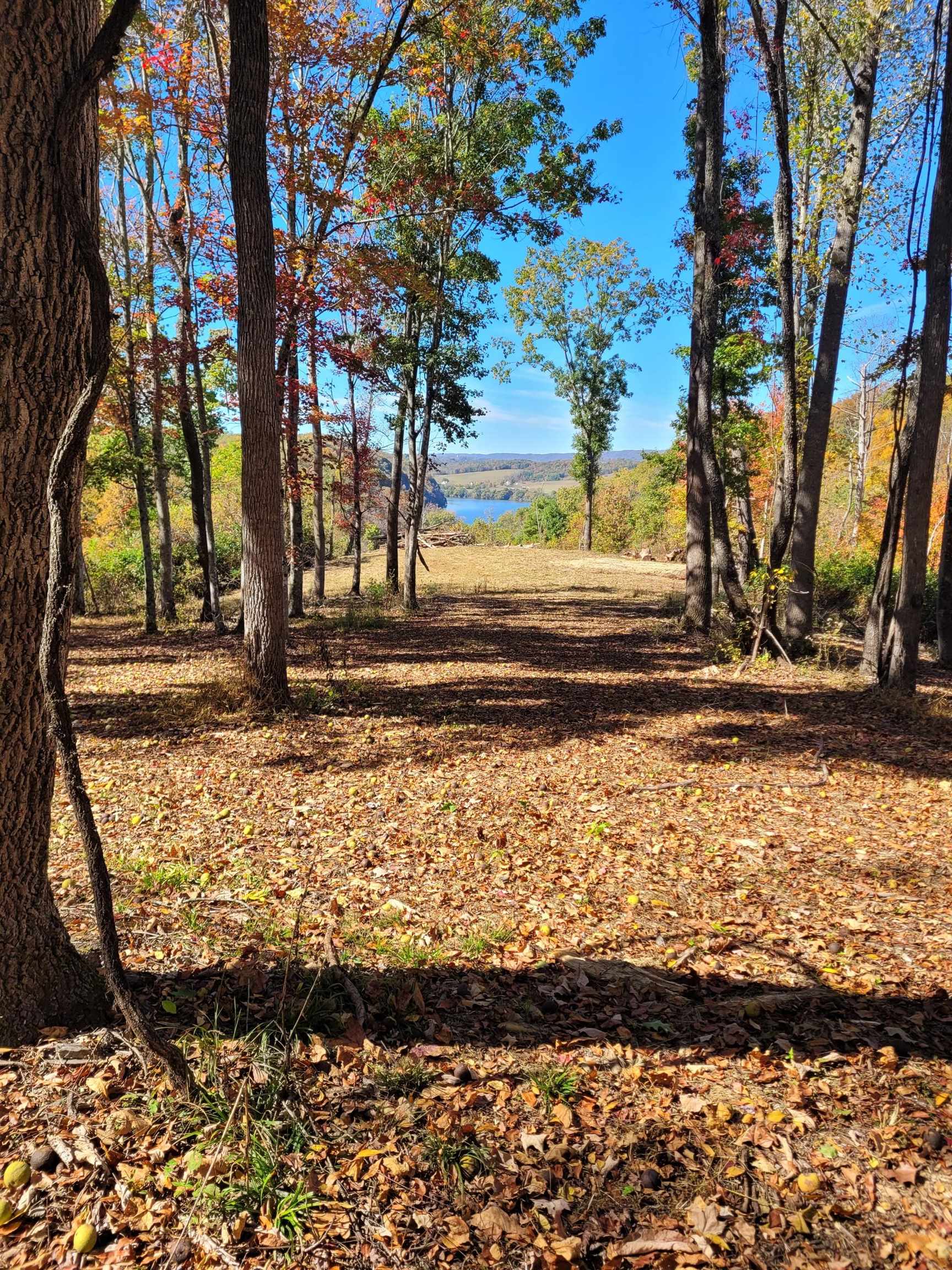 Tbd Lota-21.acr Baptist Hollow Road Hiwassee VA 24347