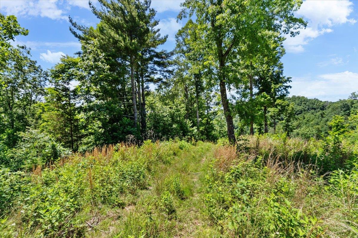 Tbd Lota-21.acr Baptist Hollow Road Hiwassee VA 24347