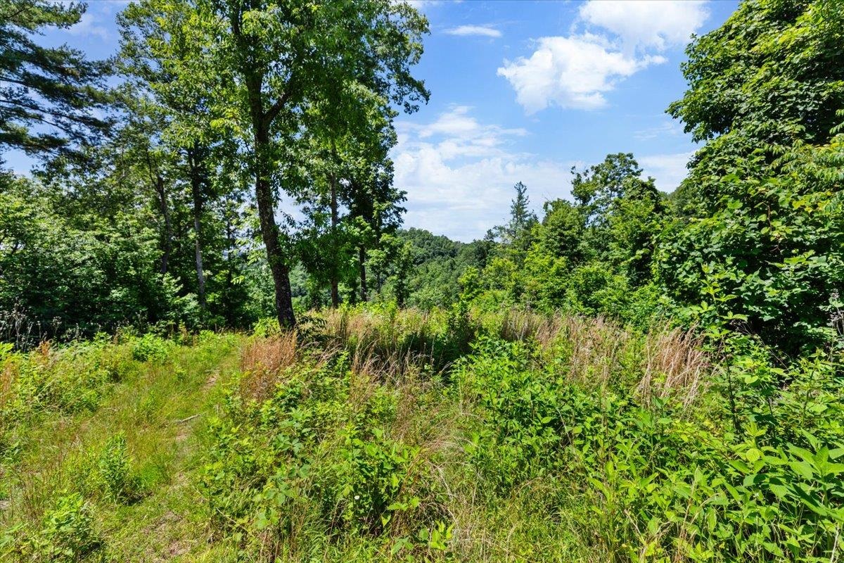 Tbd Lota-21.acr Baptist Hollow Road Hiwassee VA 24347