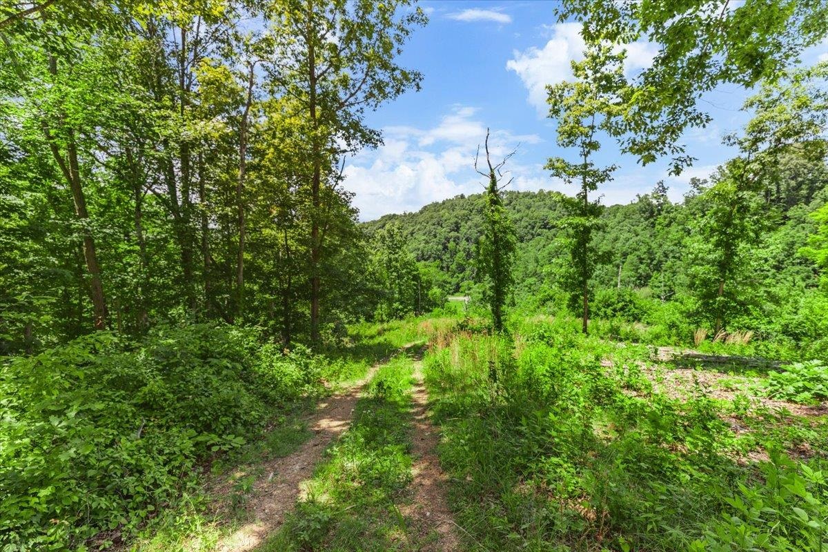 Tbd Lota-21.acr Baptist Hollow Road Hiwassee VA 24347