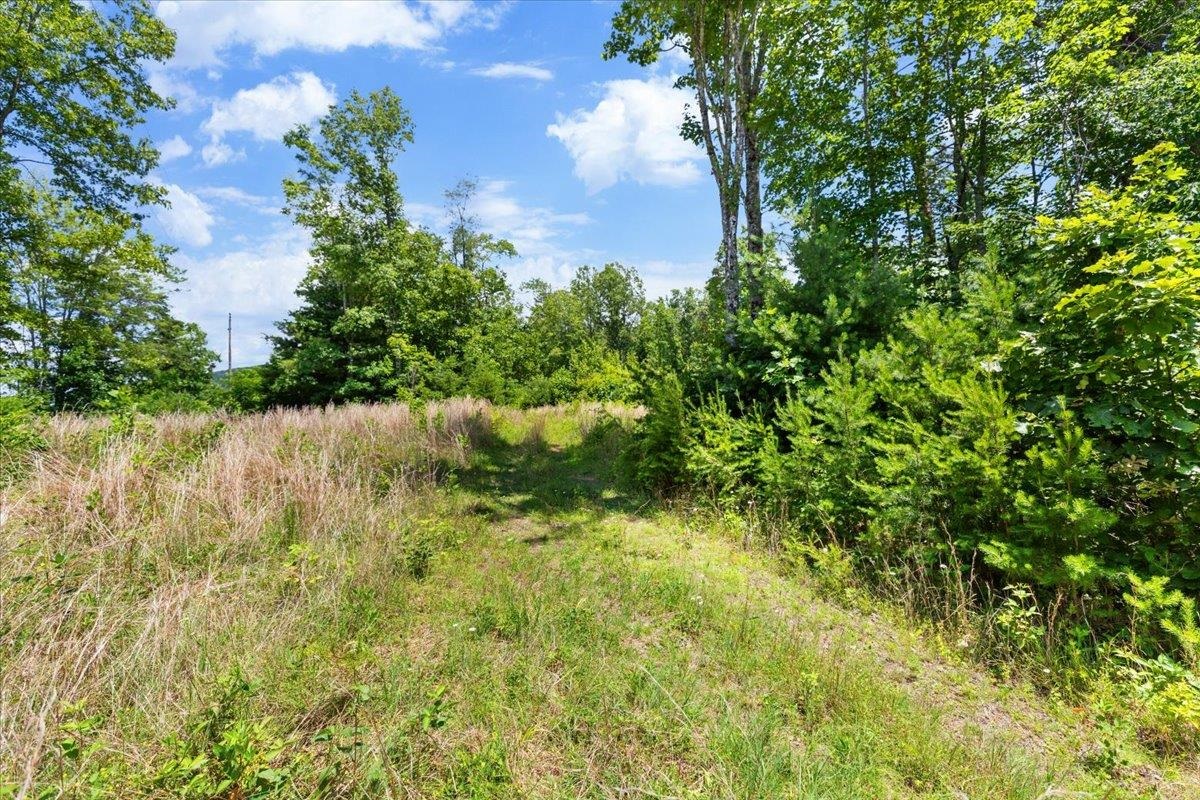 Tbd Lota-21.acr Baptist Hollow Road Hiwassee VA 24347